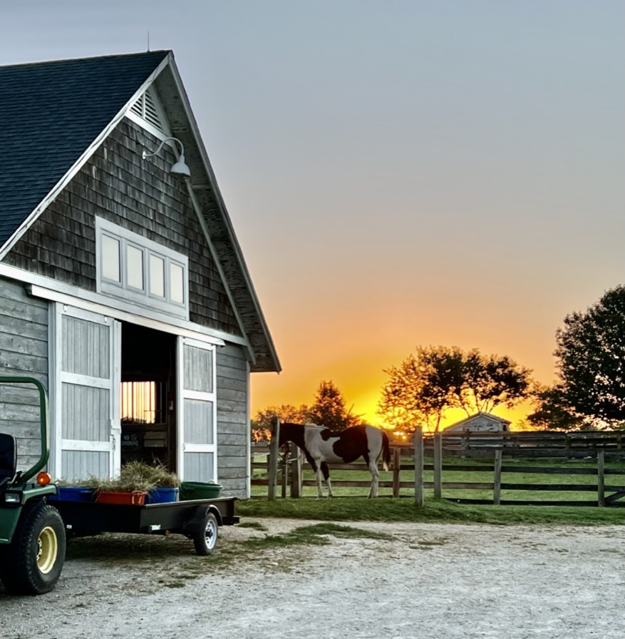 884 Blazing Star Road, Grayslake, IL 60030