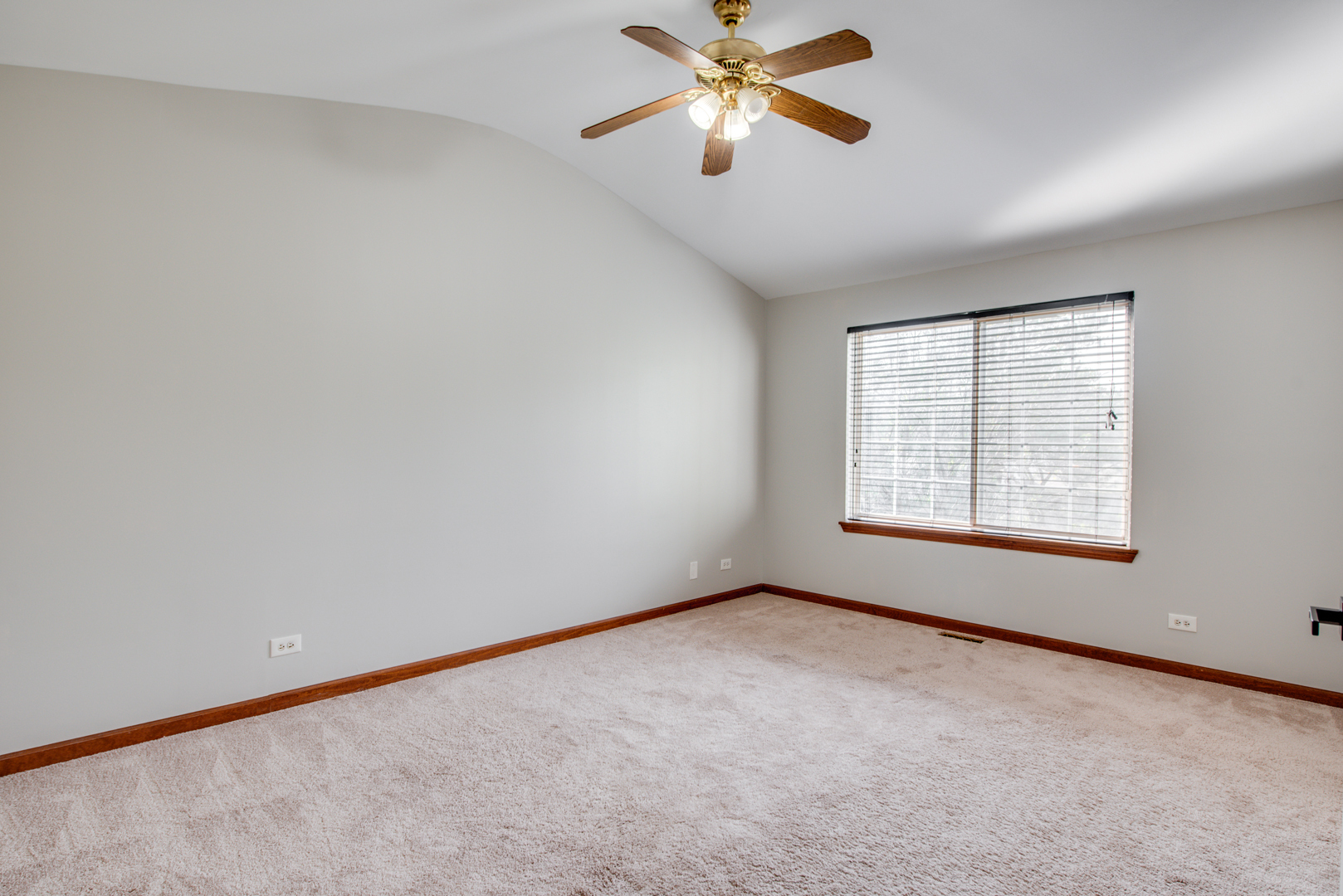 1431 Tara Belle Parkway, Naperville, IL 60564