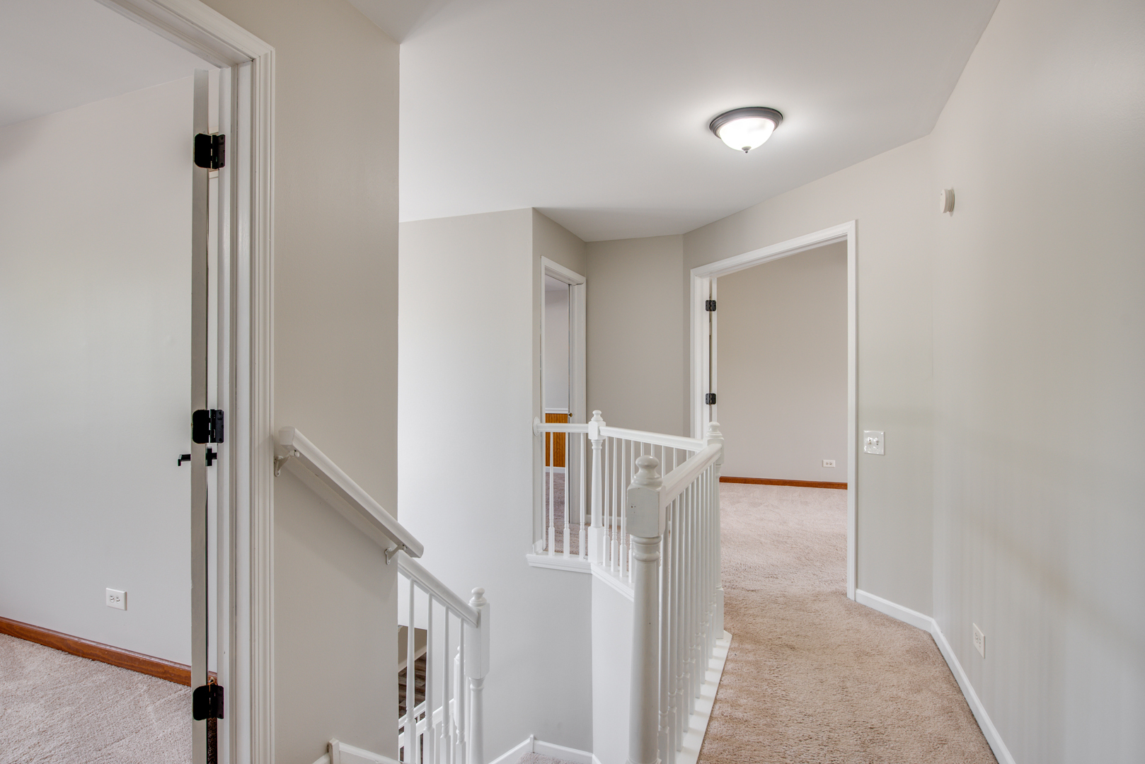 1431 Tara Belle Parkway, Naperville, IL 60564