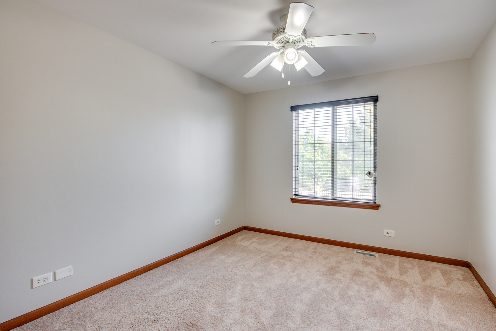 1431 Tara Belle Parkway, Naperville, IL 60564