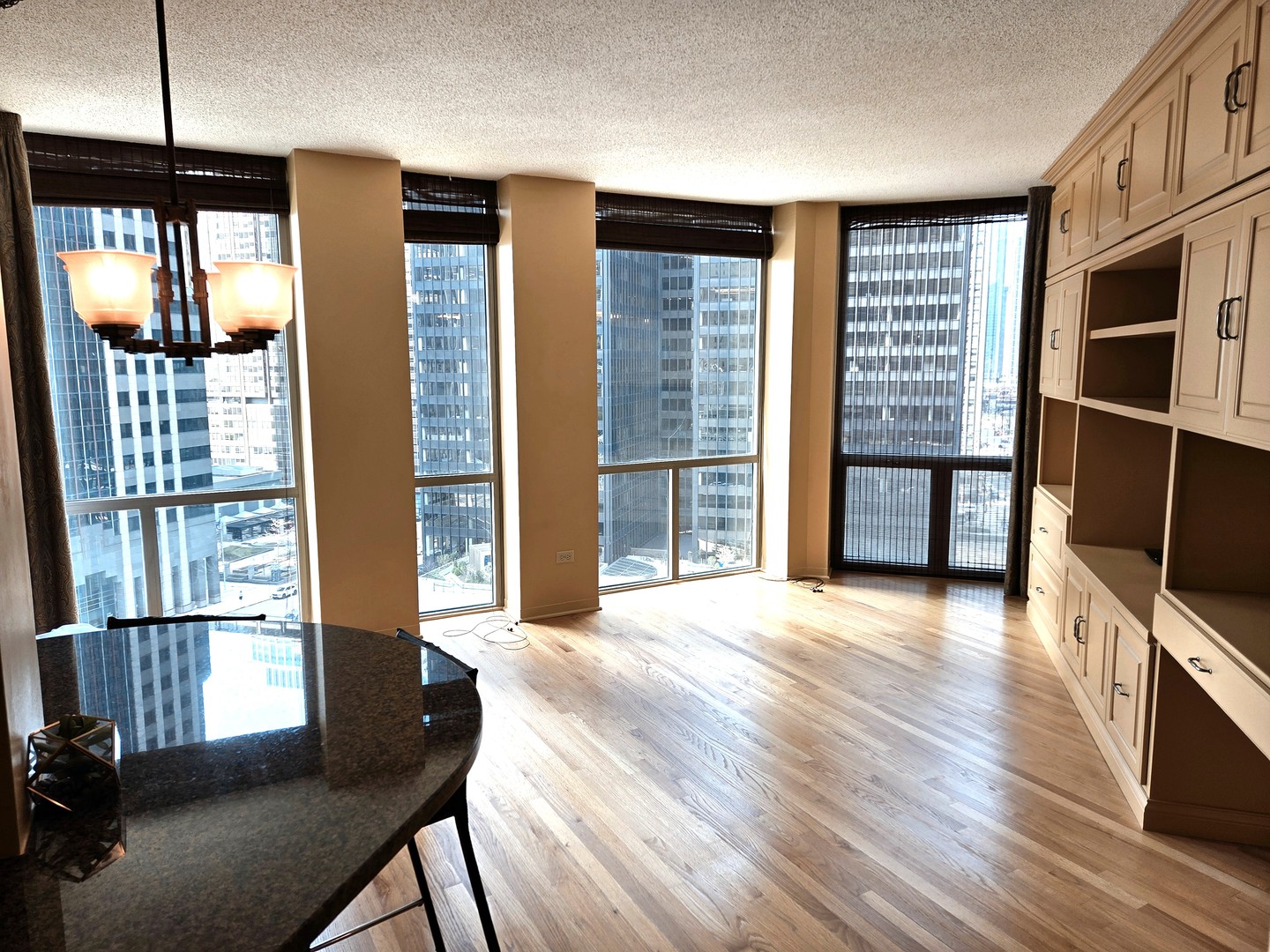 222 N Columbus Drive #1003, Chicago, IL 60601