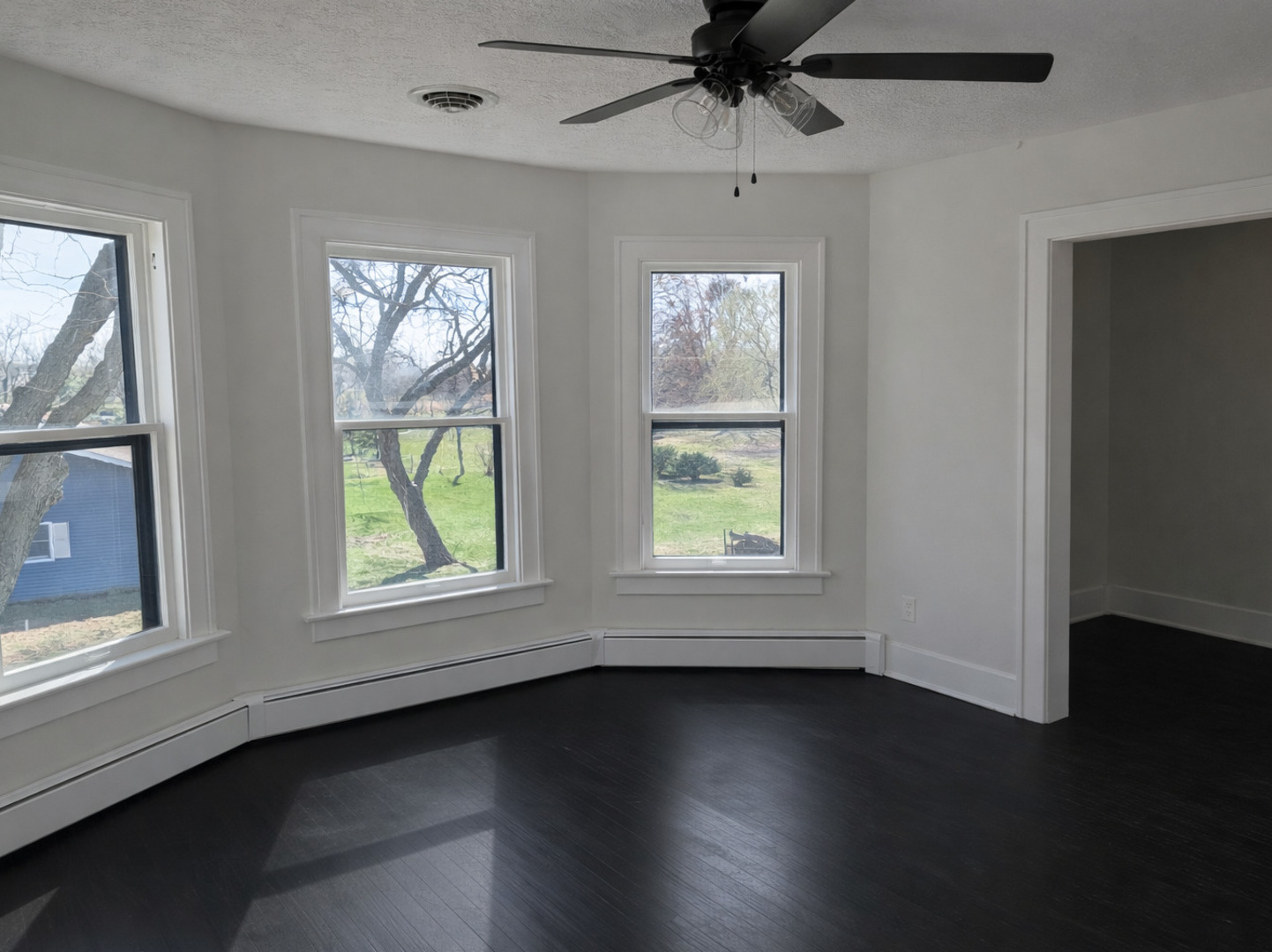 401 S Locust Street, Wapella, IL 61777