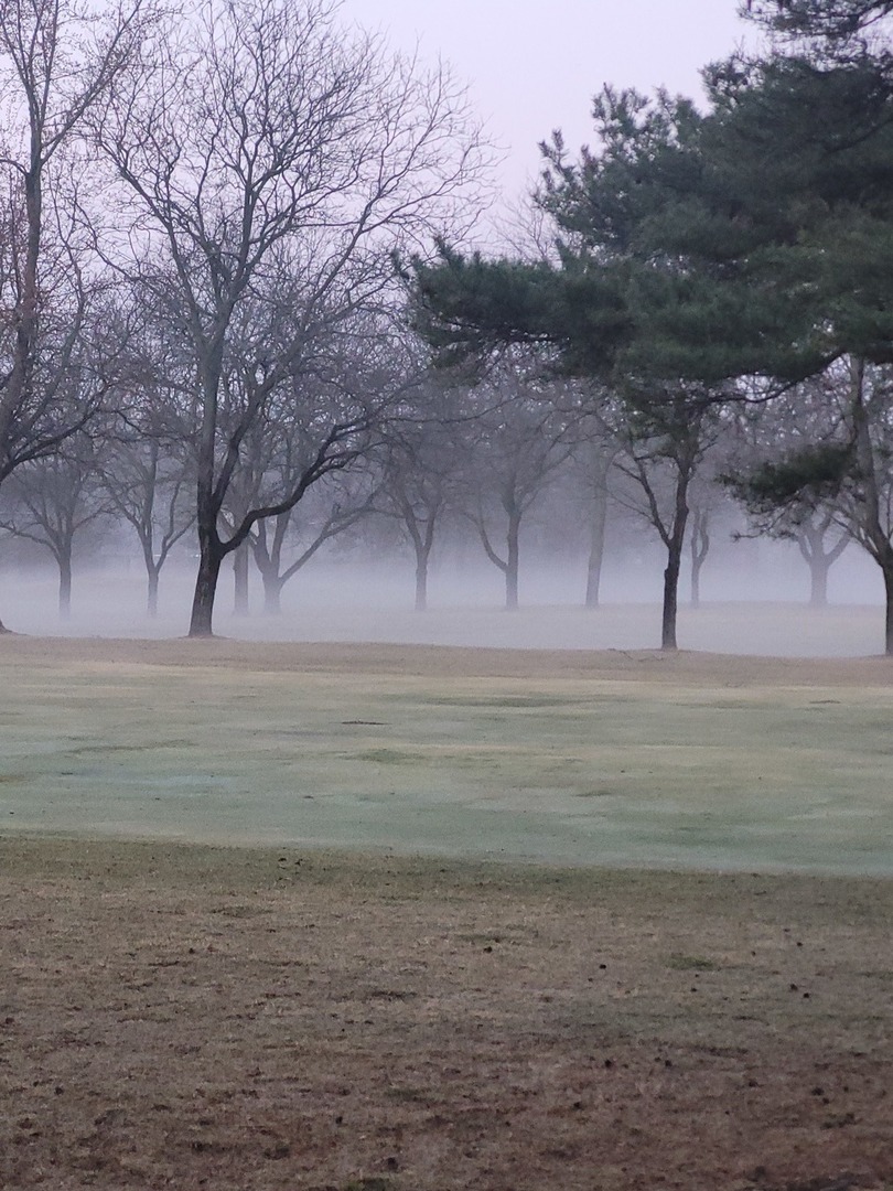 196 Shoreline Road, Lake Barrington, IL 60010