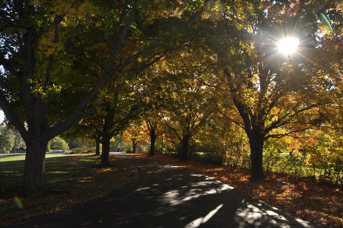 35 EAGLE VIEW Lane, Oswego, IL 60543