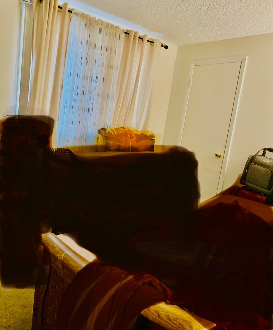 11107 S 84th Avenue #2A, Palos Hills, IL 60465