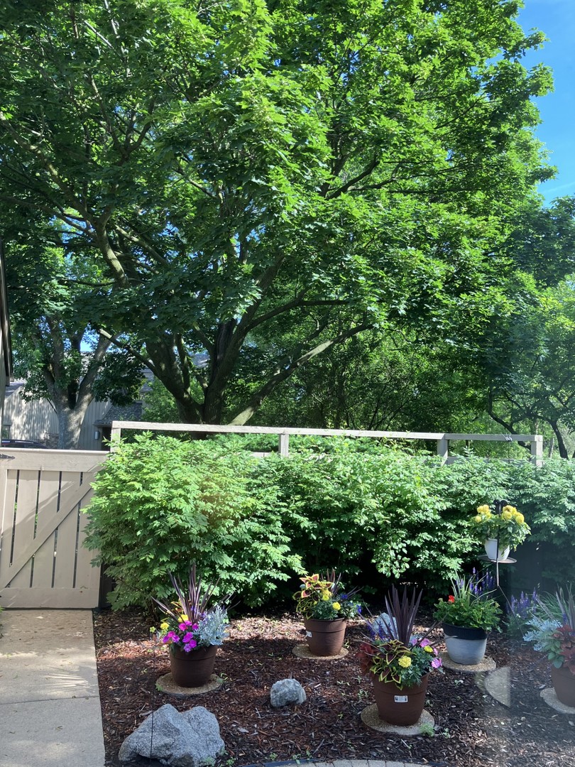 59 Cedar Ridge, Lake Barrington, IL 60010