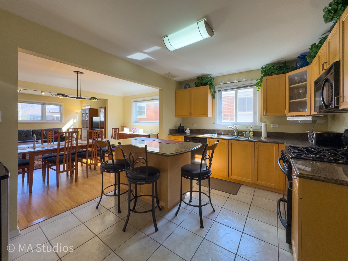 8912 Harms Road, Morton Grove, IL 60053