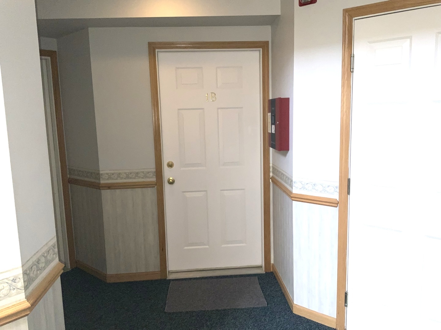 20862 W Torrey Pines Lane #1B, Plainfield, IL 60544