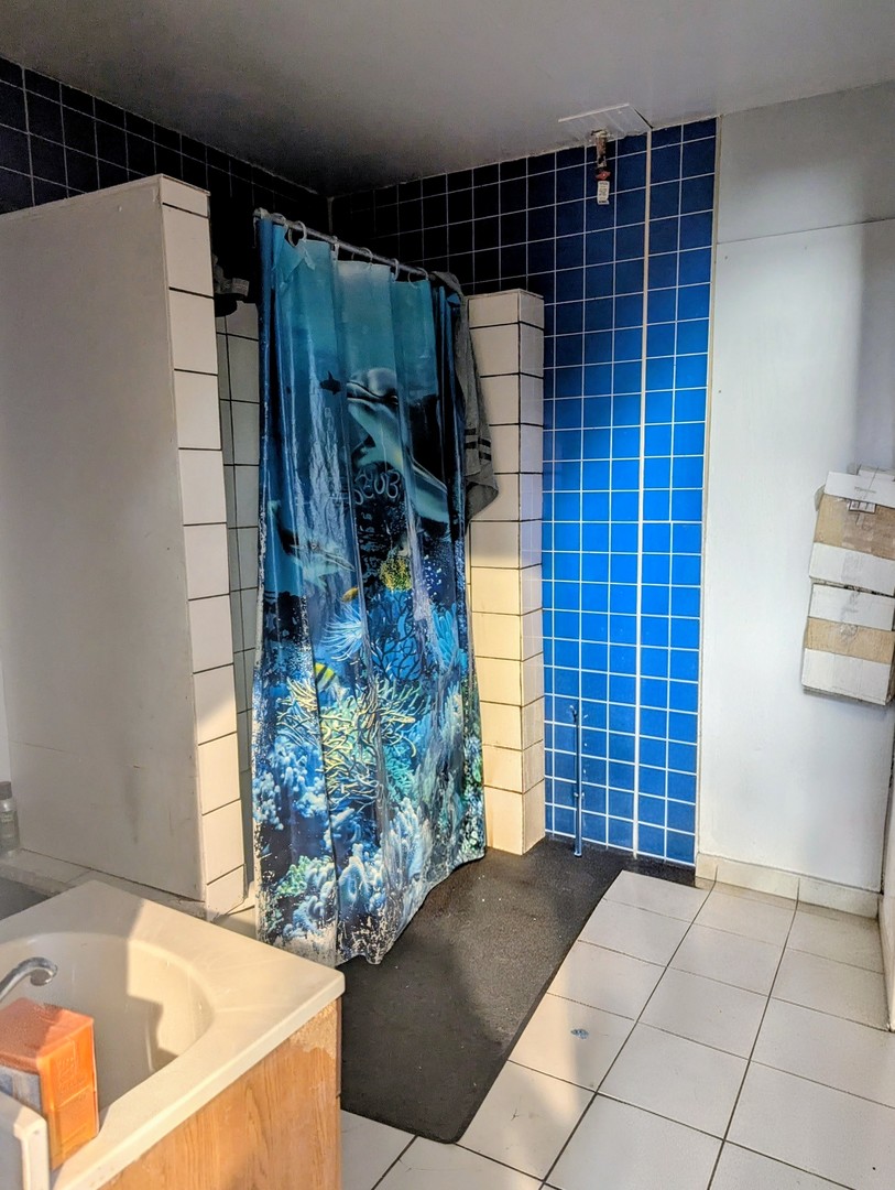 4805 S Elizabeth Street, Chicago, IL 60609