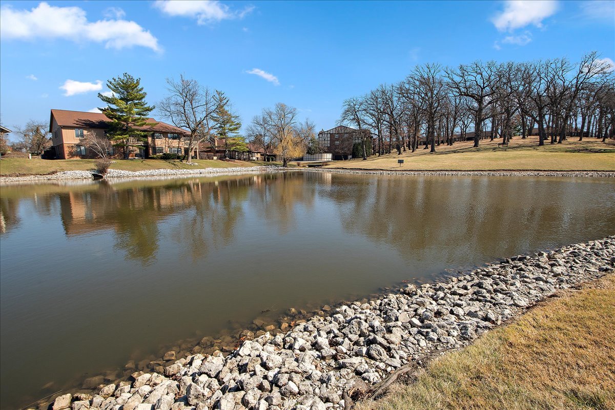 7834 W Foresthill Lane #2CR, Palos Heights, IL 60463