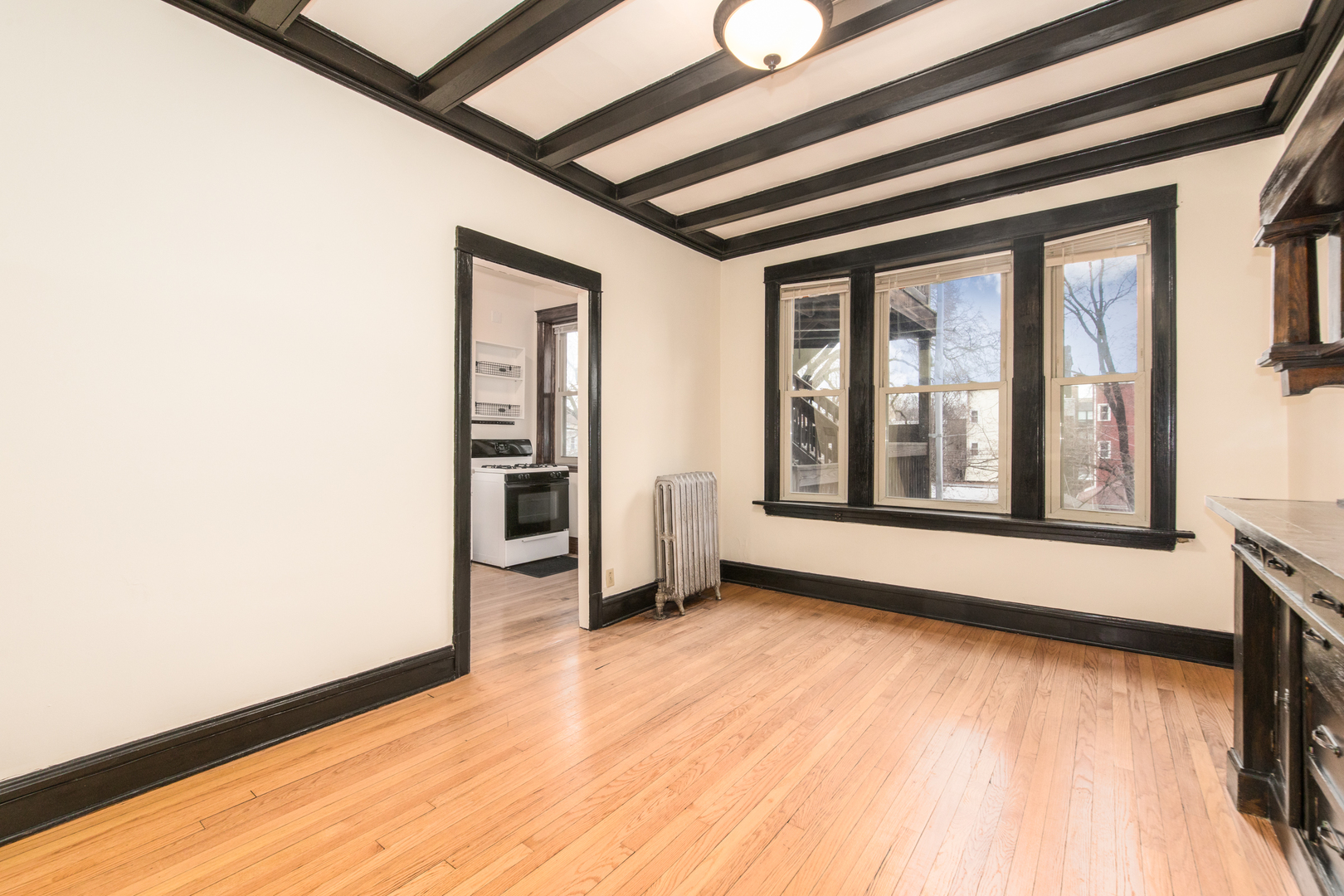 4117 N Paulina Street, Chicago, IL 60613