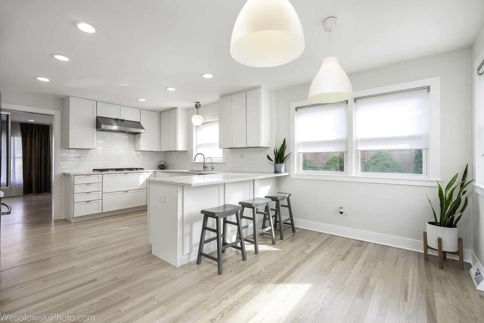 708 N RUSSEL Street, Mount Prospect, IL 60056