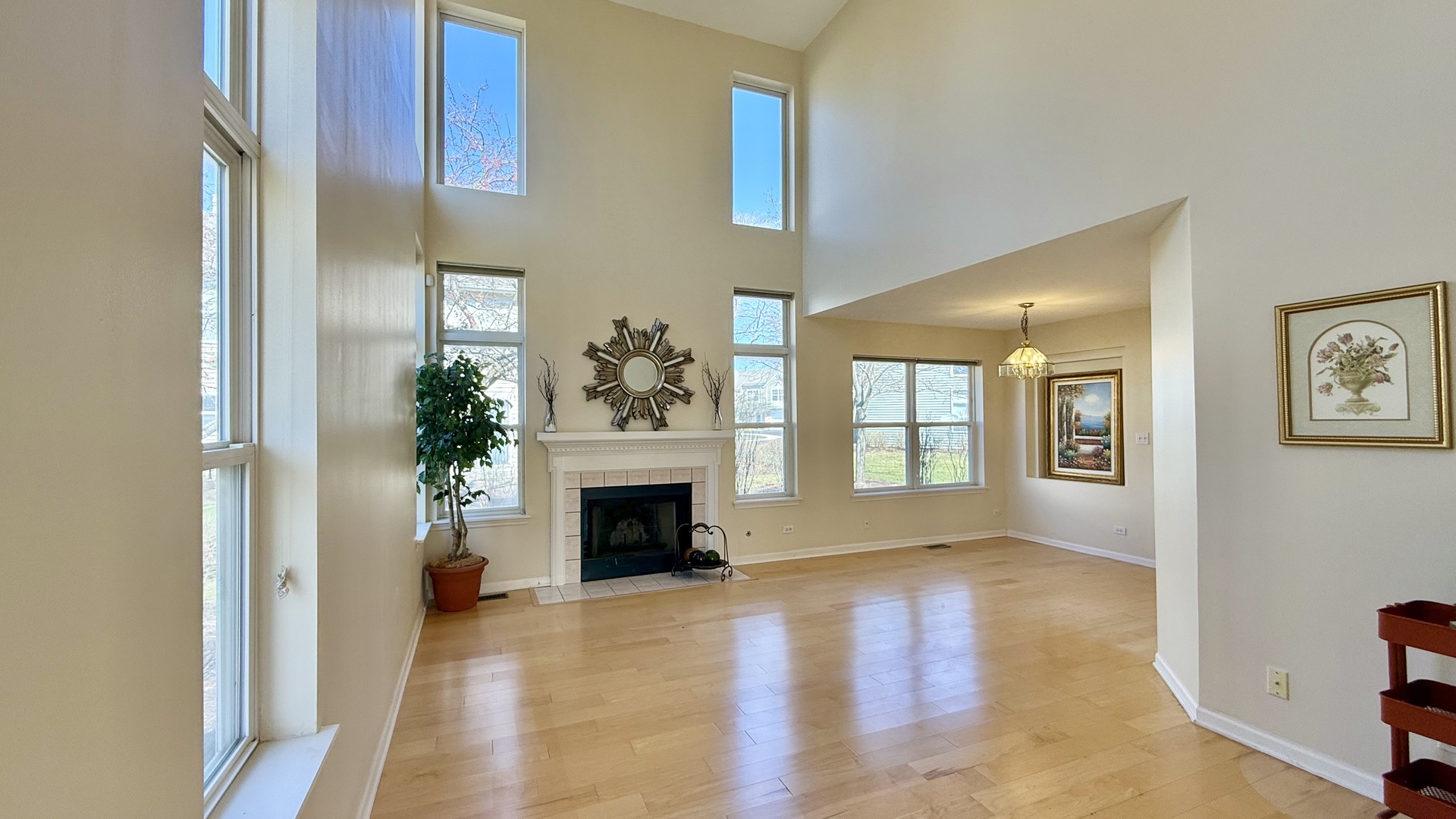 1560 E Baronet Lane, Palatine, IL 60074