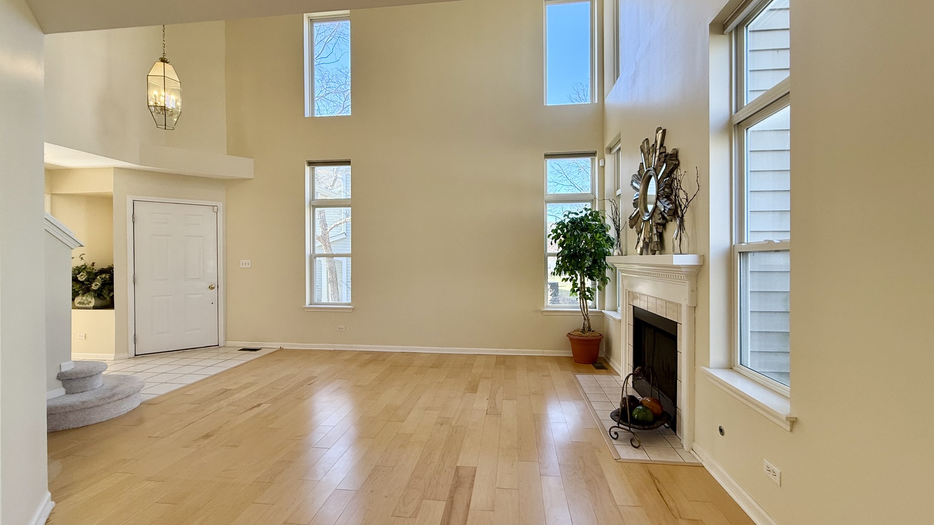 1560 E Baronet Lane, Palatine, IL 60074