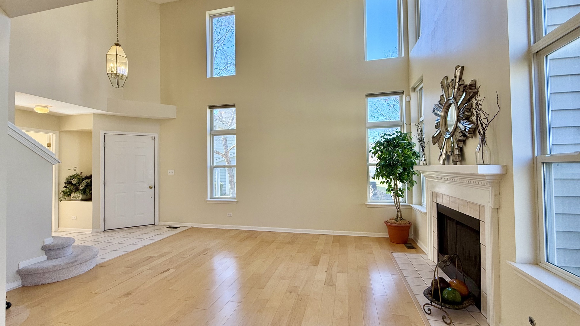 1560 E Baronet Lane, Palatine, IL 60074