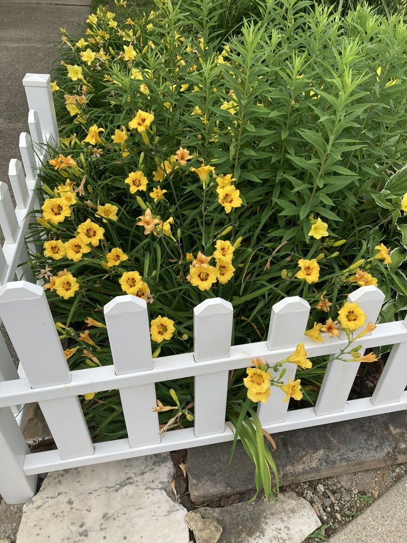 7934 Lotus Avenue, Morton Grove, IL 60053