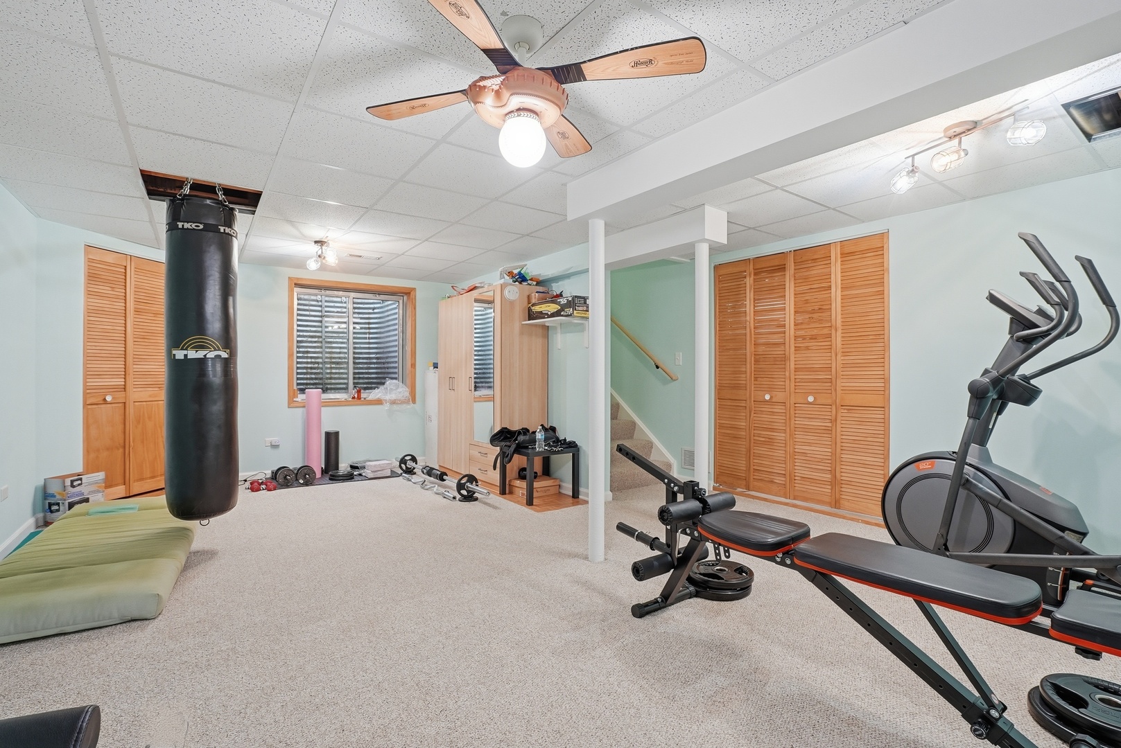 319 Grape Vine Trail, Oswego, IL 60543