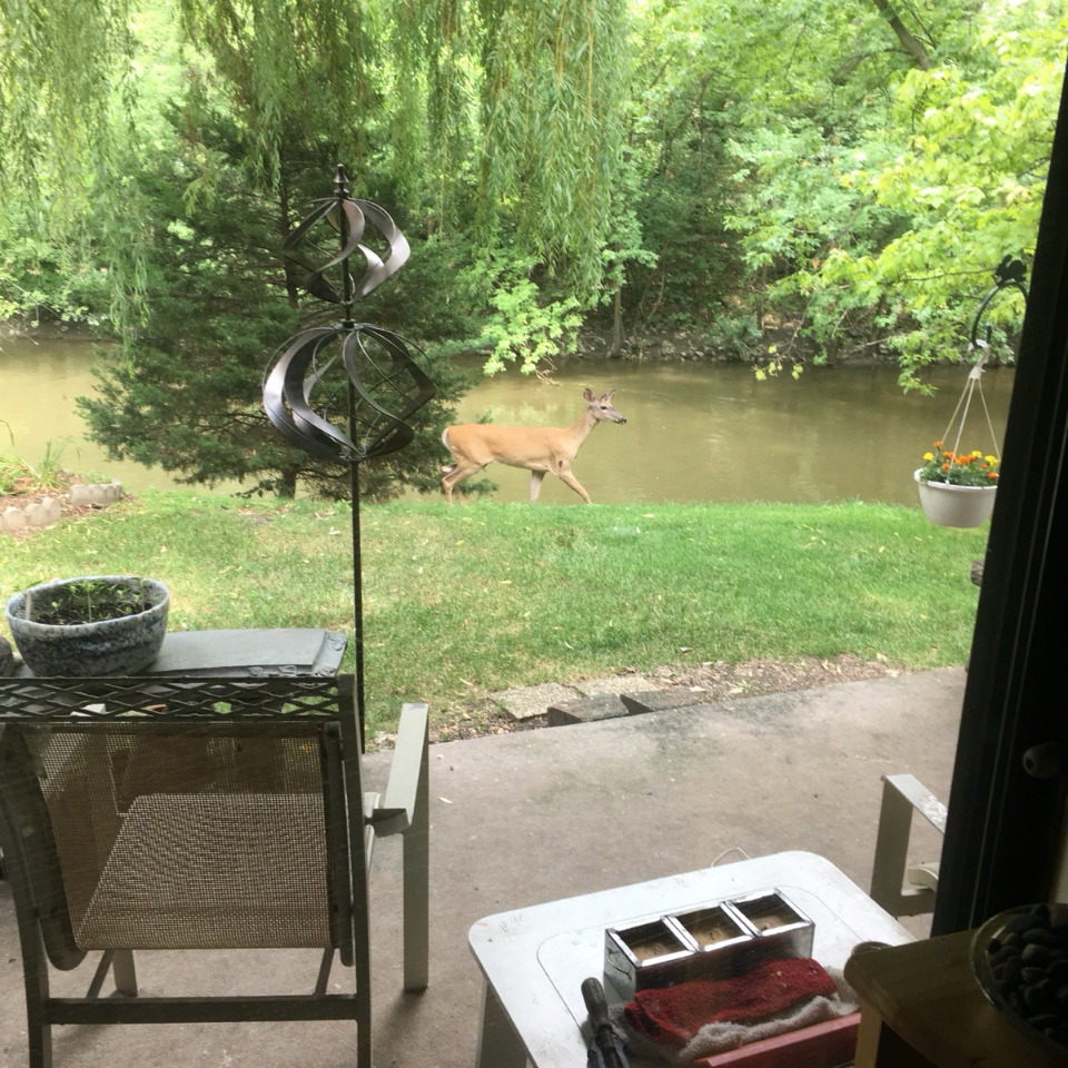 1S055 Spring Road #1C, Oakbrook Terrace, IL 60181