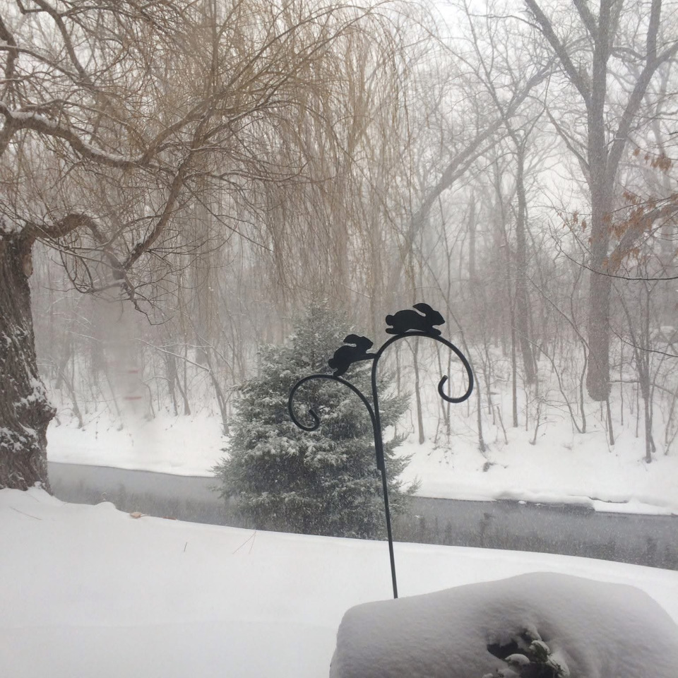 1S055 Spring Road #1C, Oakbrook Terrace, IL 60181