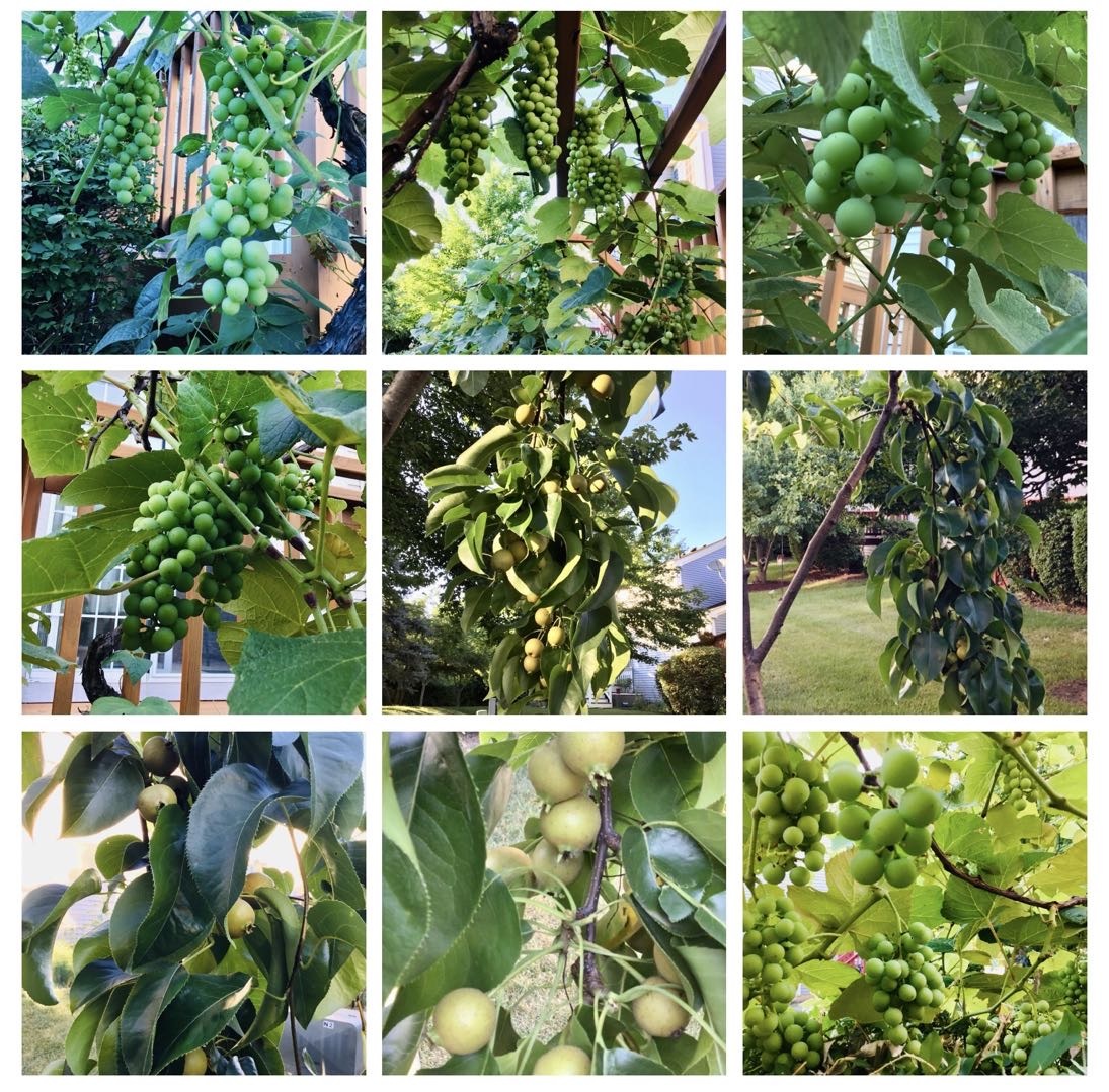 5170 Scott Circle, Lisle, IL 60532