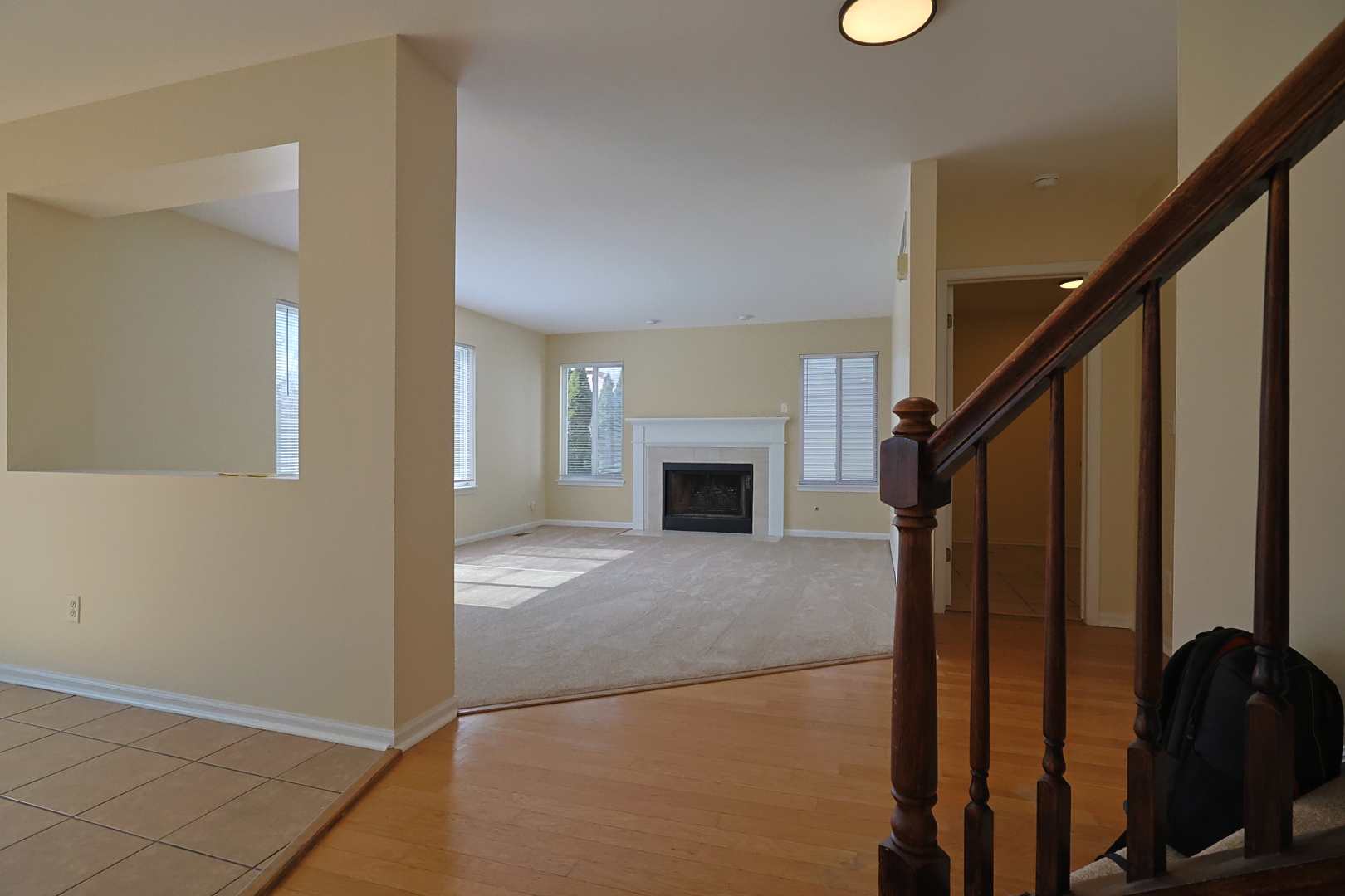 14252 S Hemingway Circle, Plainfield, IL 60544