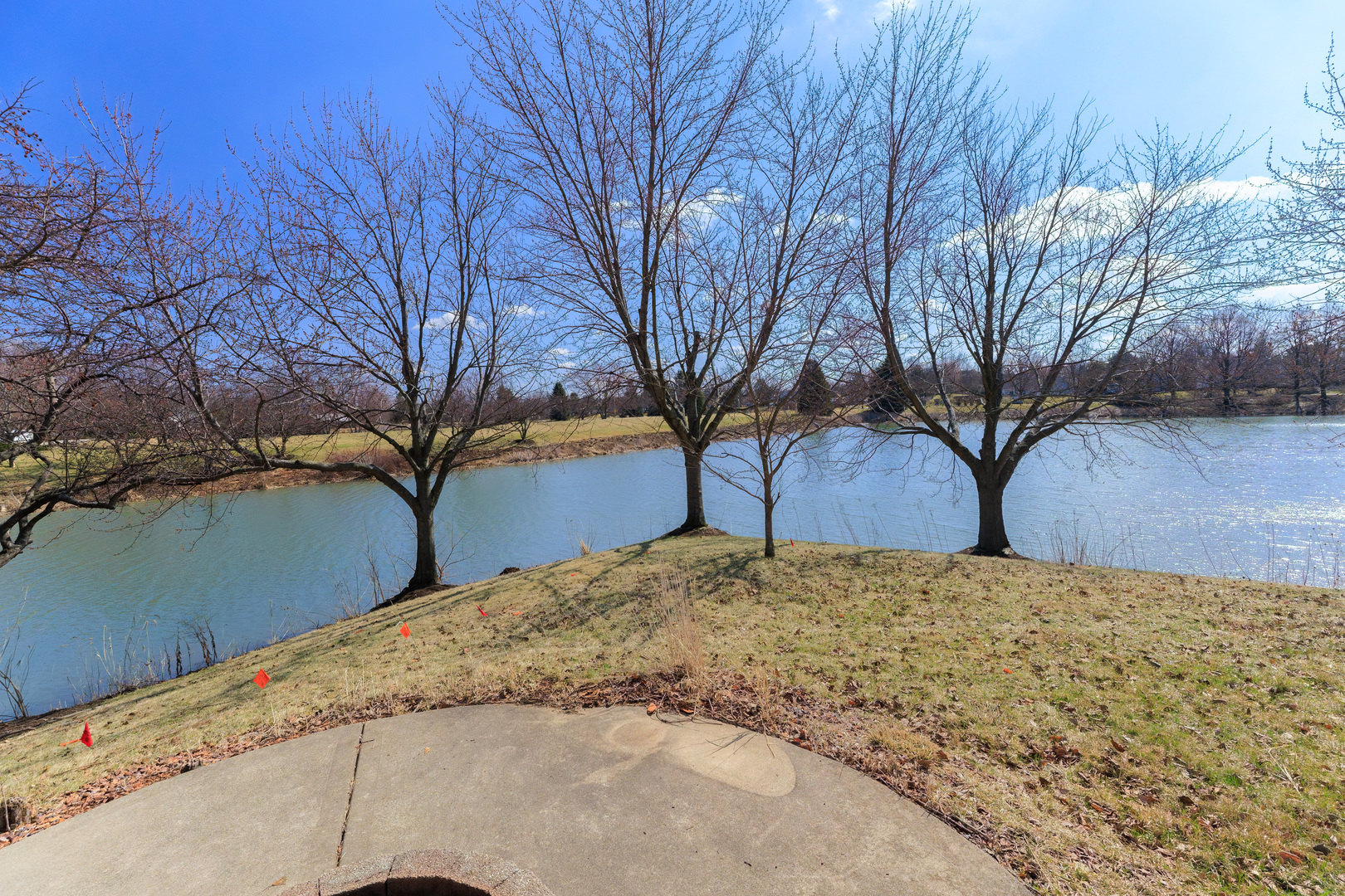 14252 S Hemingway Circle, Plainfield, IL 60544