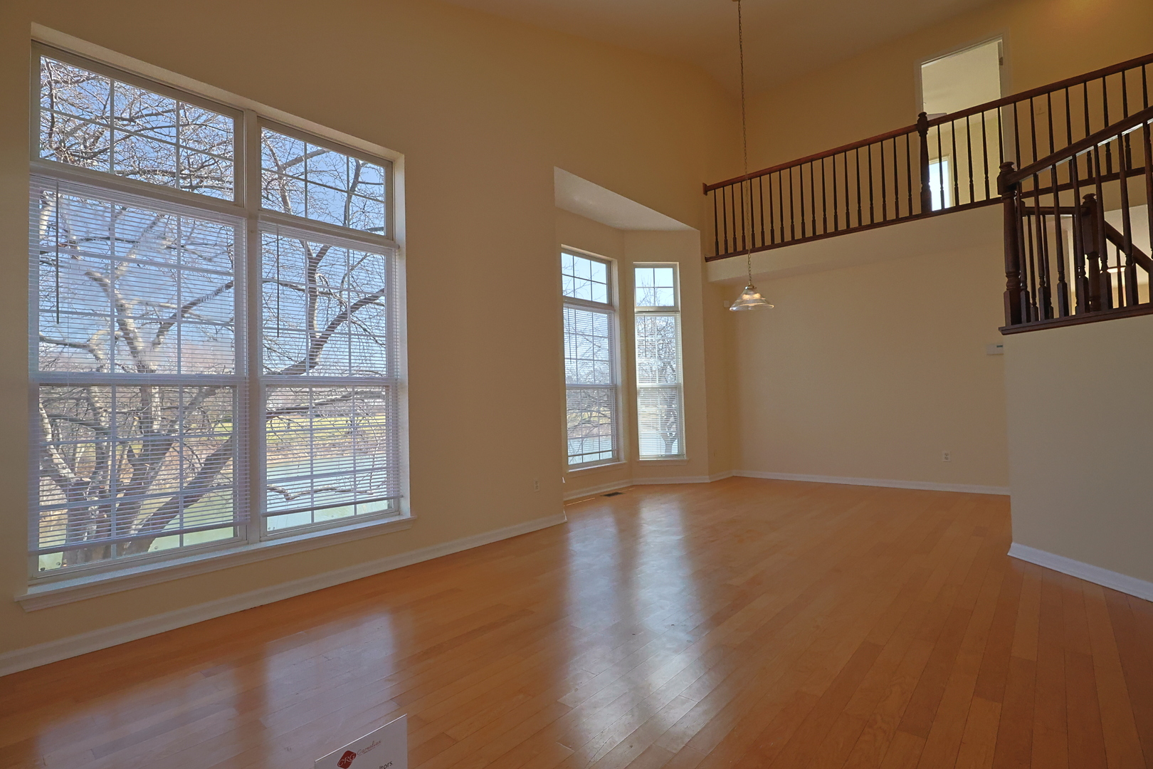 14252 S Hemingway Circle, Plainfield, IL 60544