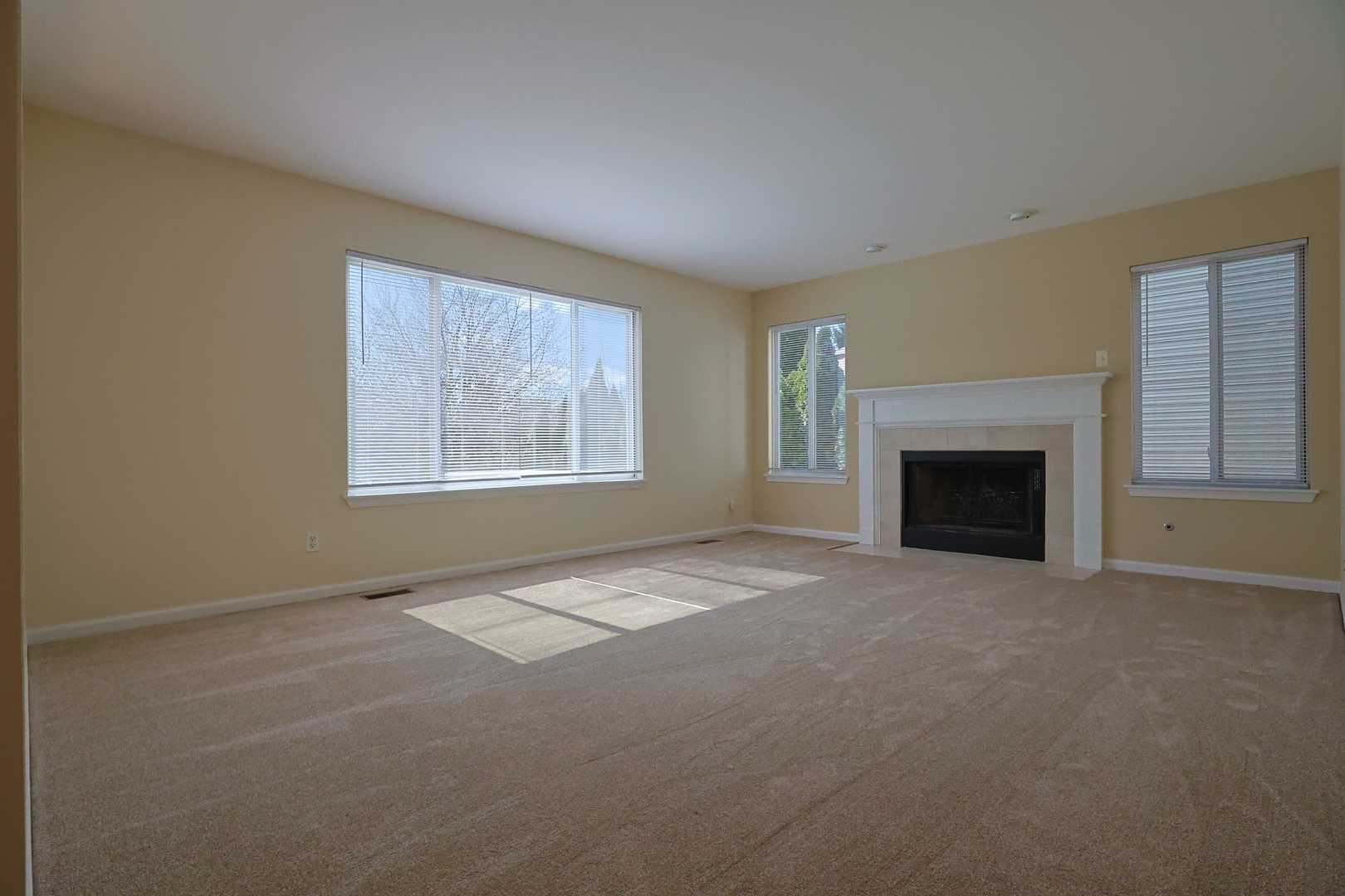 14252 S Hemingway Circle, Plainfield, IL 60544