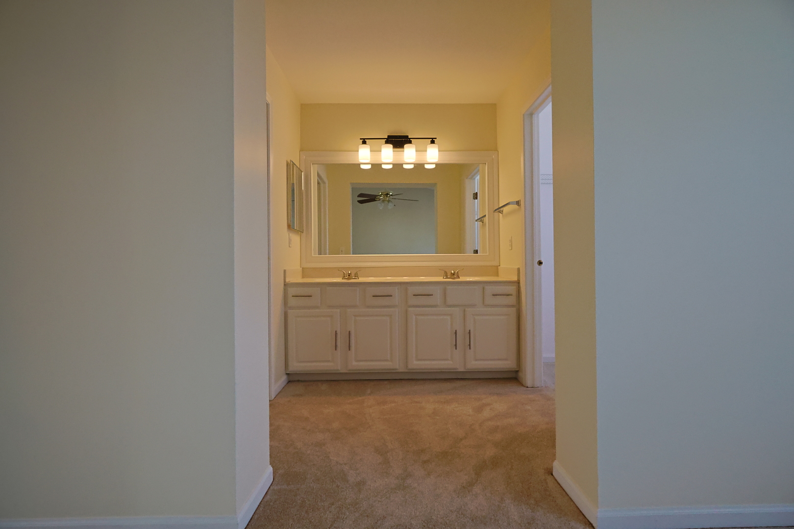 14252 S Hemingway Circle, Plainfield, IL 60544