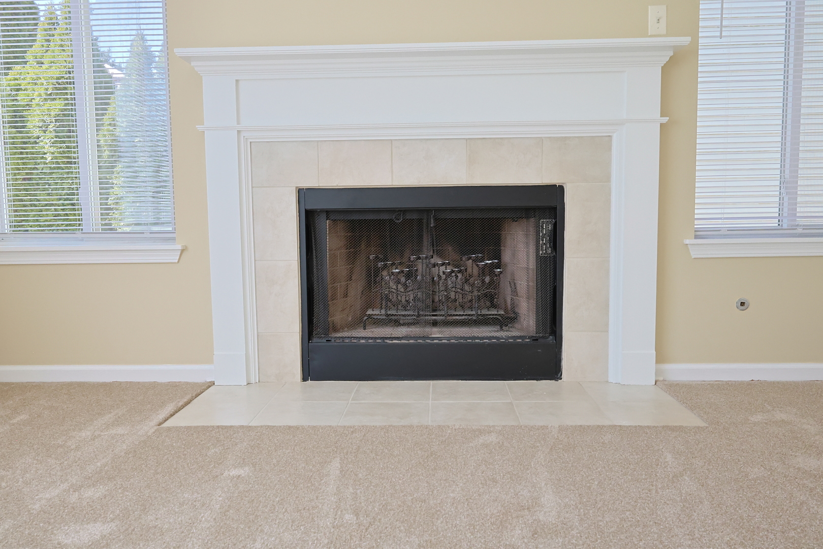 14252 S Hemingway Circle, Plainfield, IL 60544