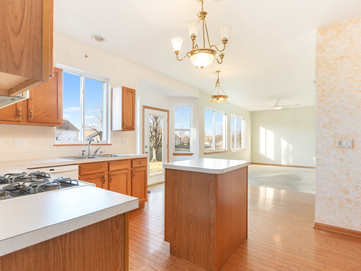 21539 W Empress Lane, Plainfield, IL 60544