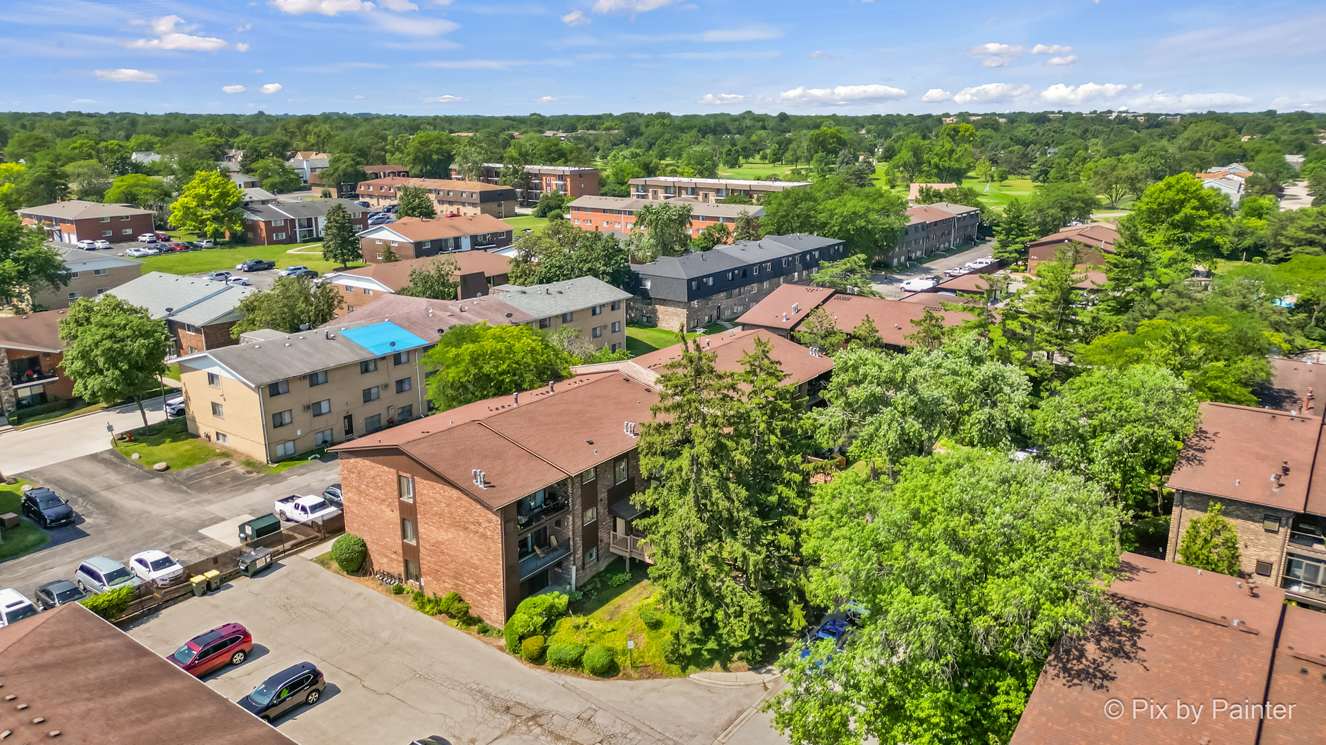 61 W Pier Drive #201, Westmont, IL 60559