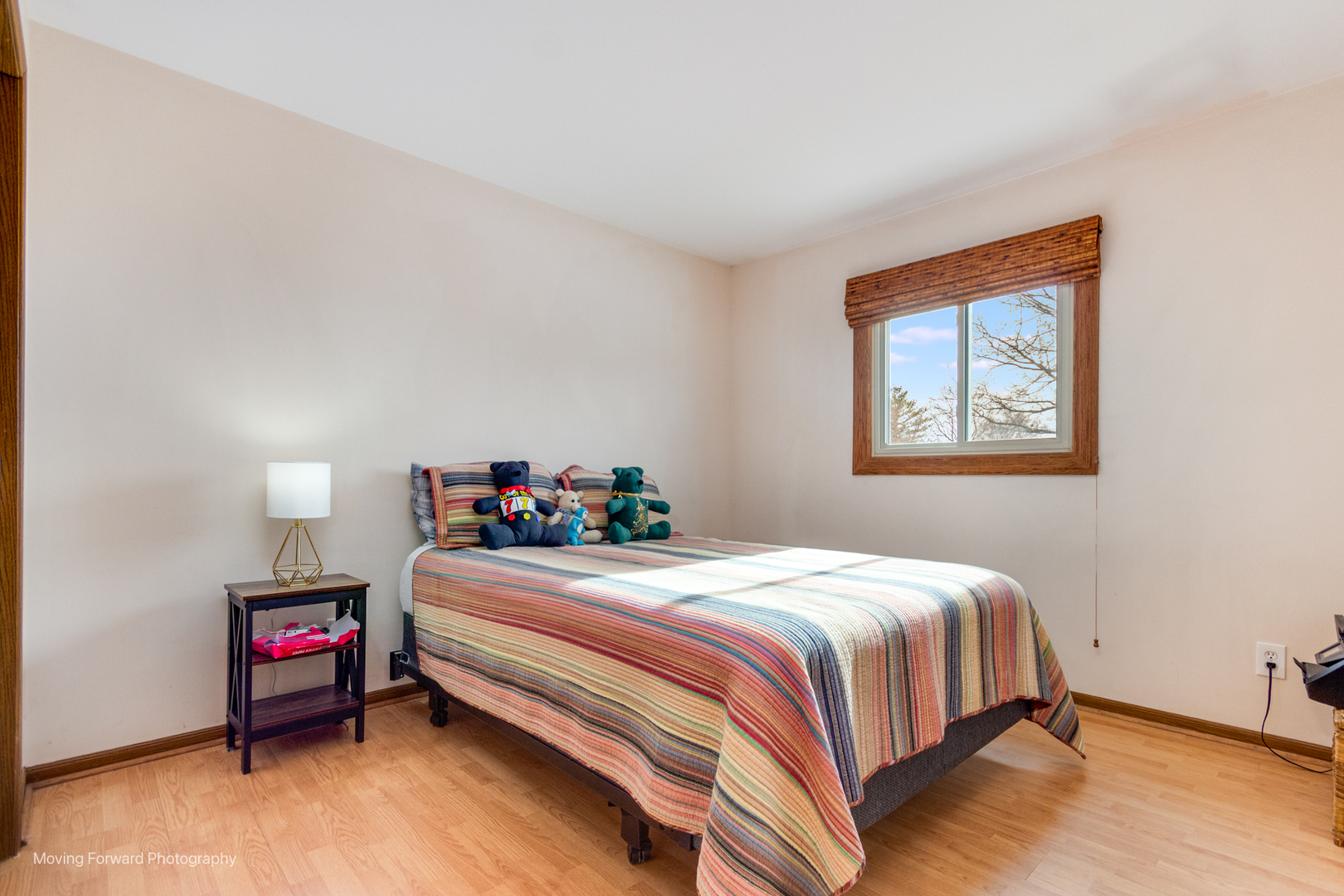 1501 Peachtree Lane, Lockport, IL 60441