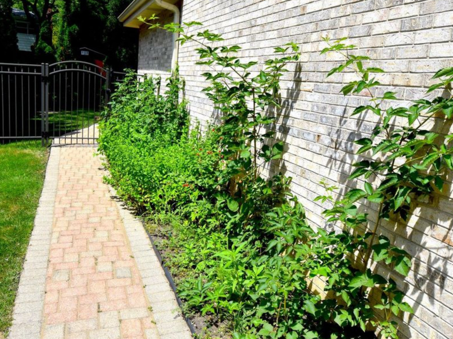 1302 S PRINCETON Avenue, Arlington Heights, IL 60005