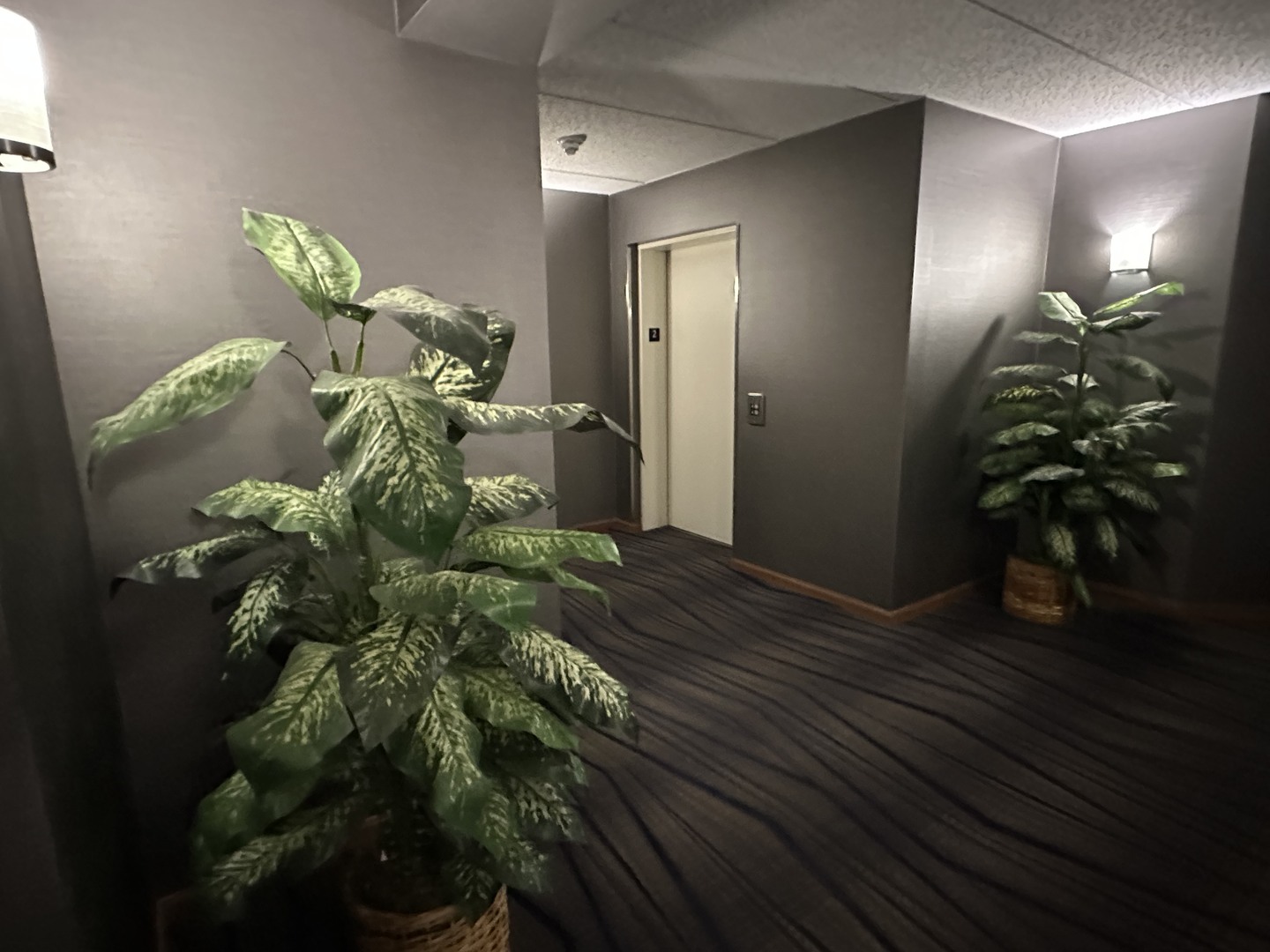 5105 W MADISON Street #1-206, Skokie, IL 60077