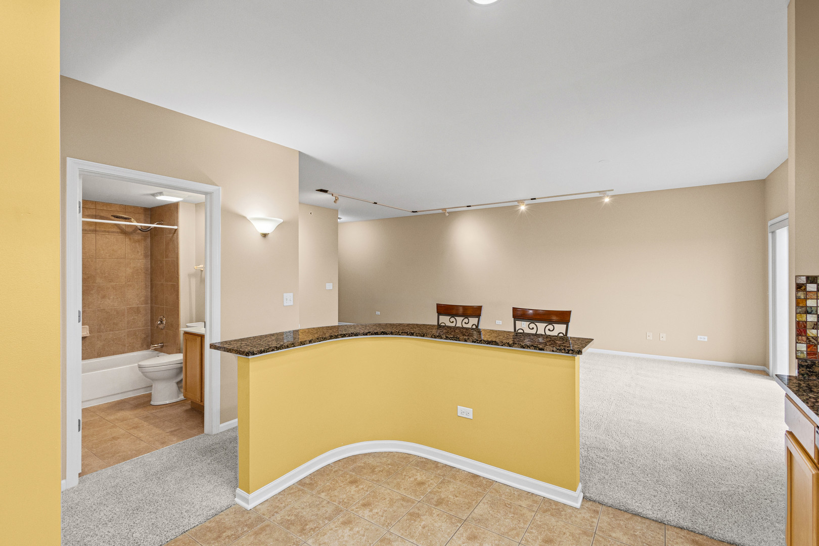 405 S Creekside Drive #605, Palatine, IL 60074