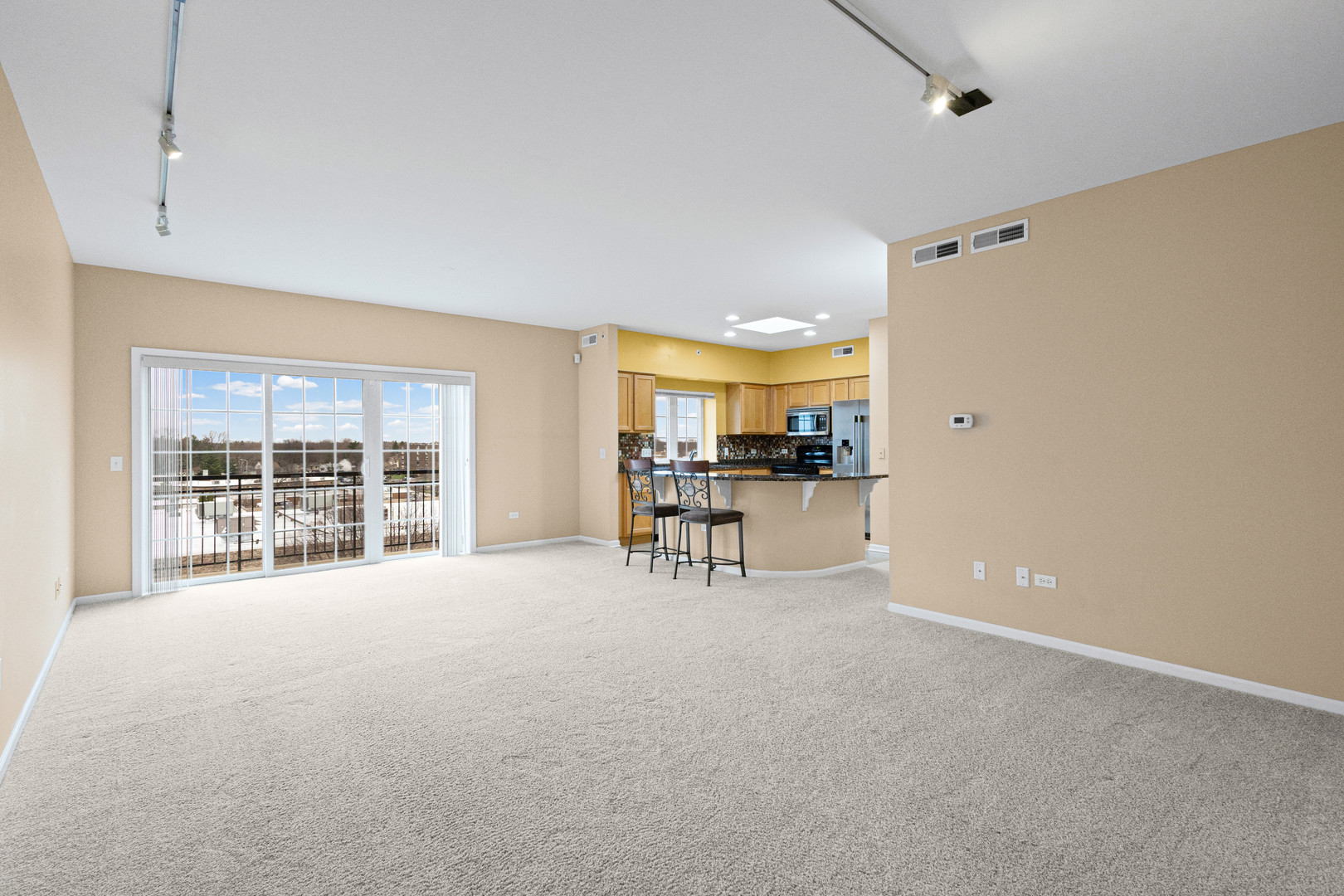 405 S Creekside Drive #605, Palatine, IL 60074