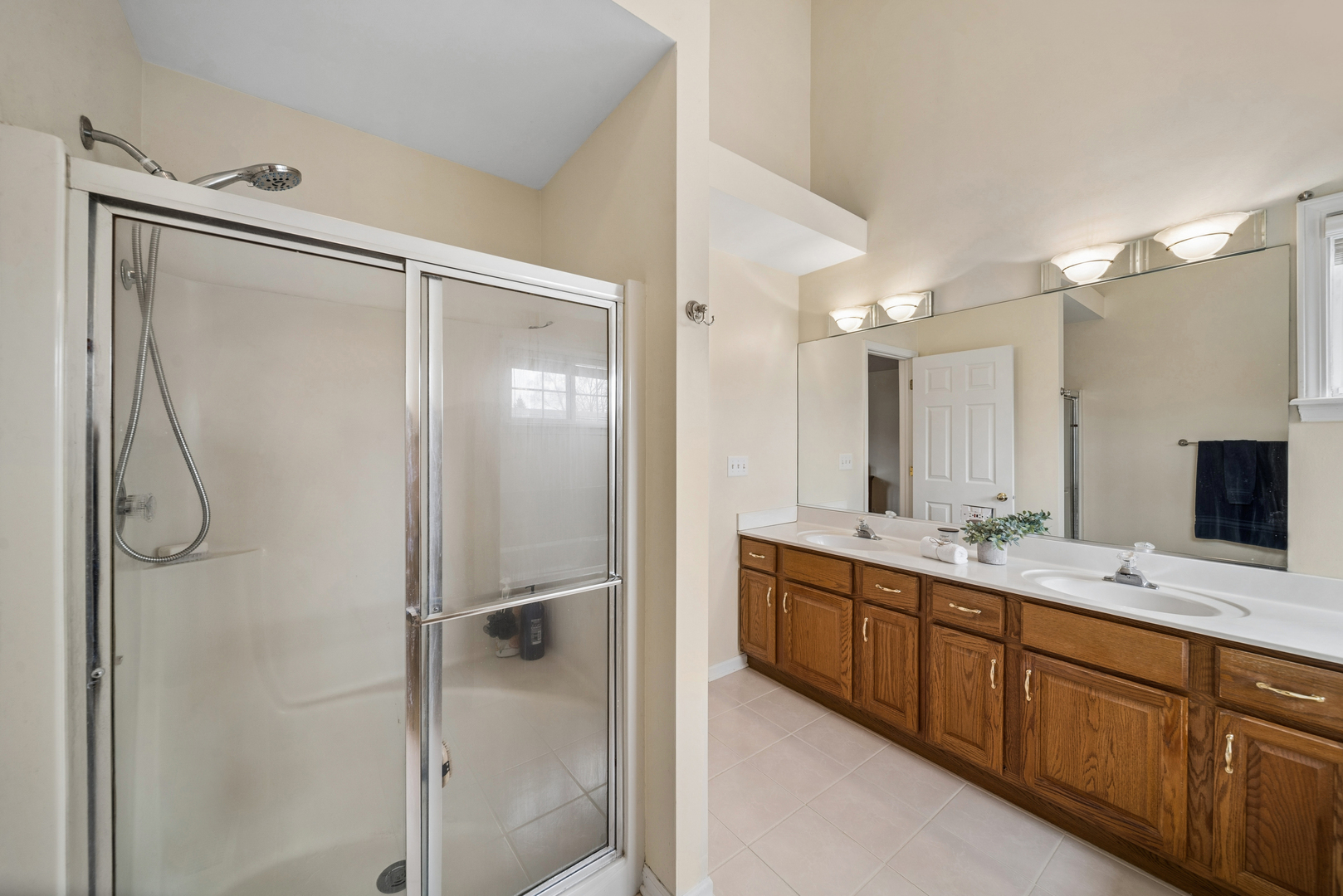 5204 Chokeberry Drive, Naperville, IL 60564