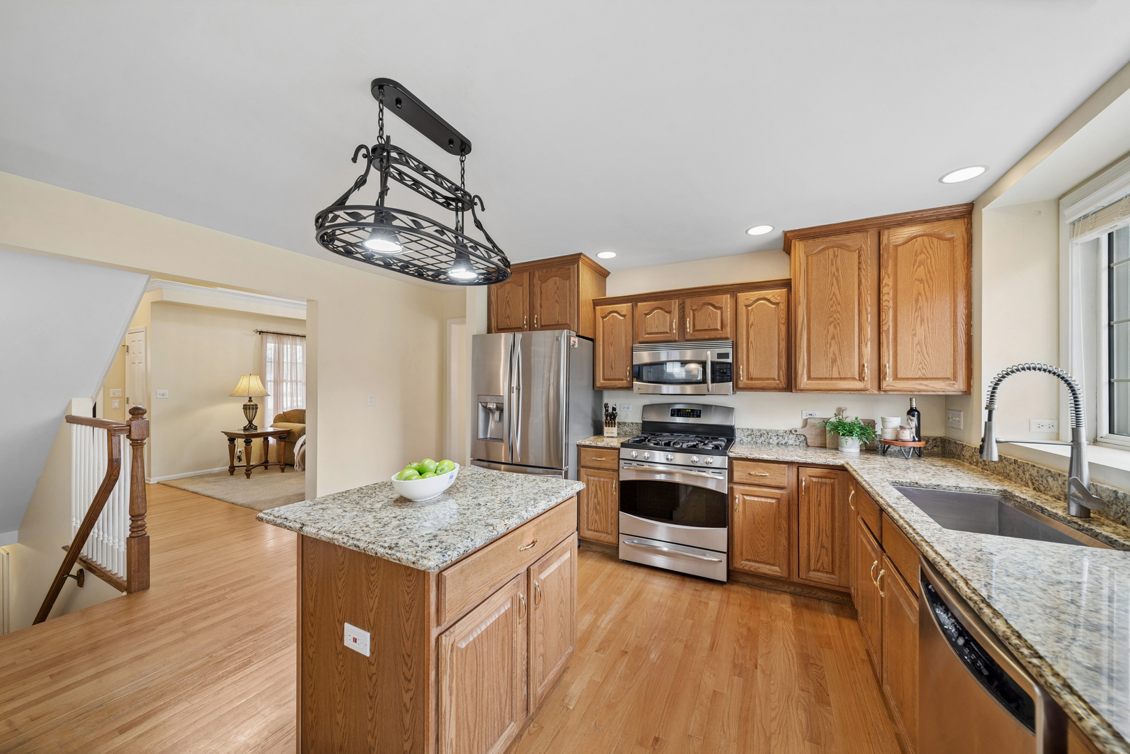 5204 Chokeberry Drive, Naperville, IL 60564