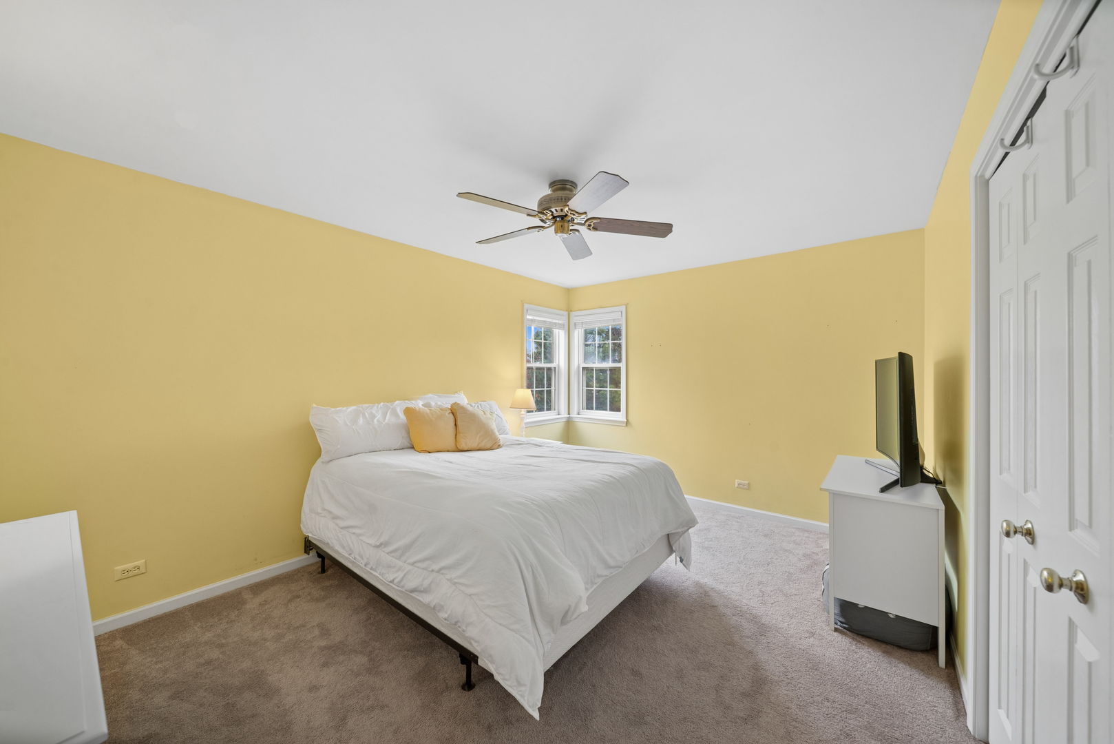 5204 Chokeberry Drive, Naperville, IL 60564