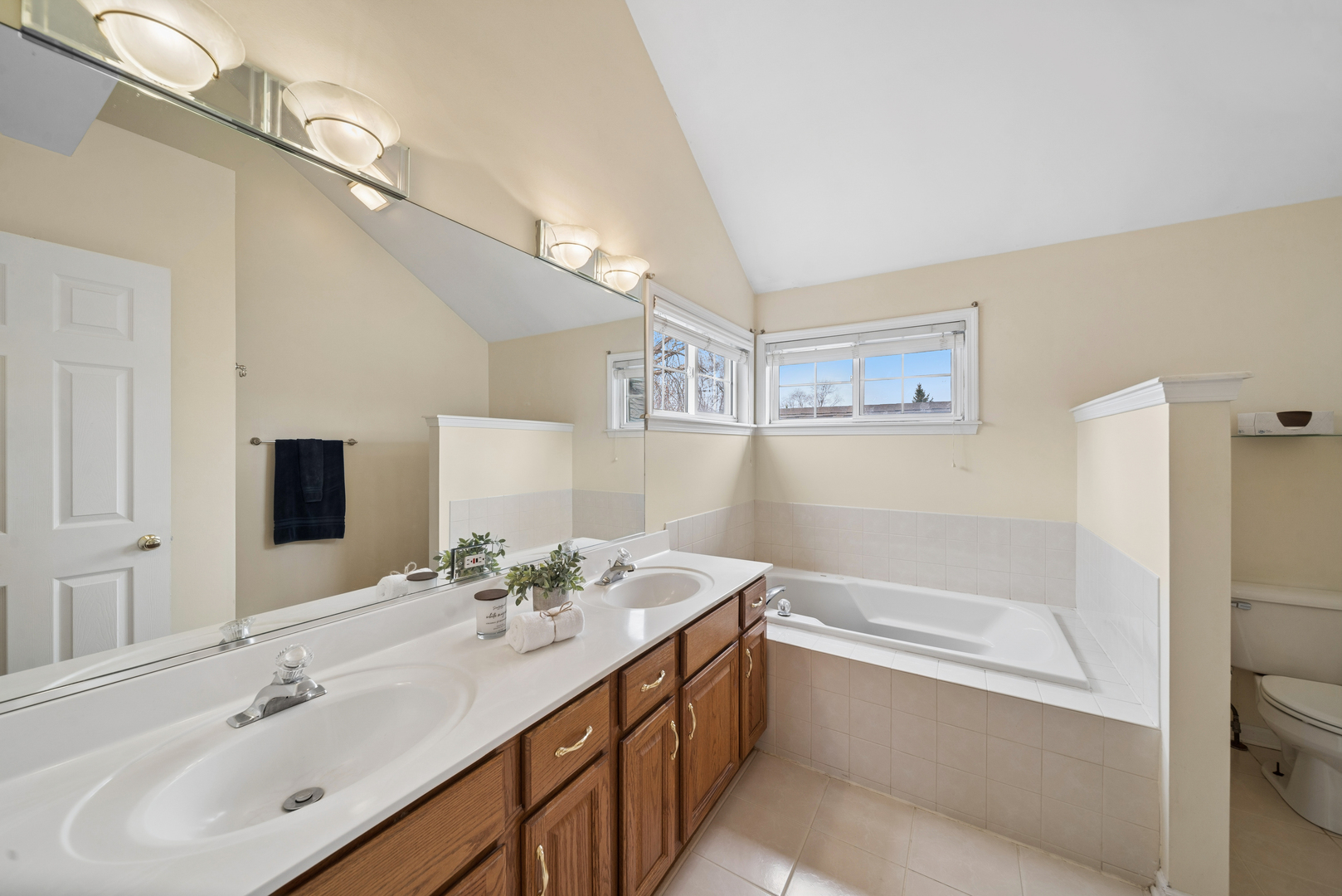 5204 Chokeberry Drive, Naperville, IL 60564