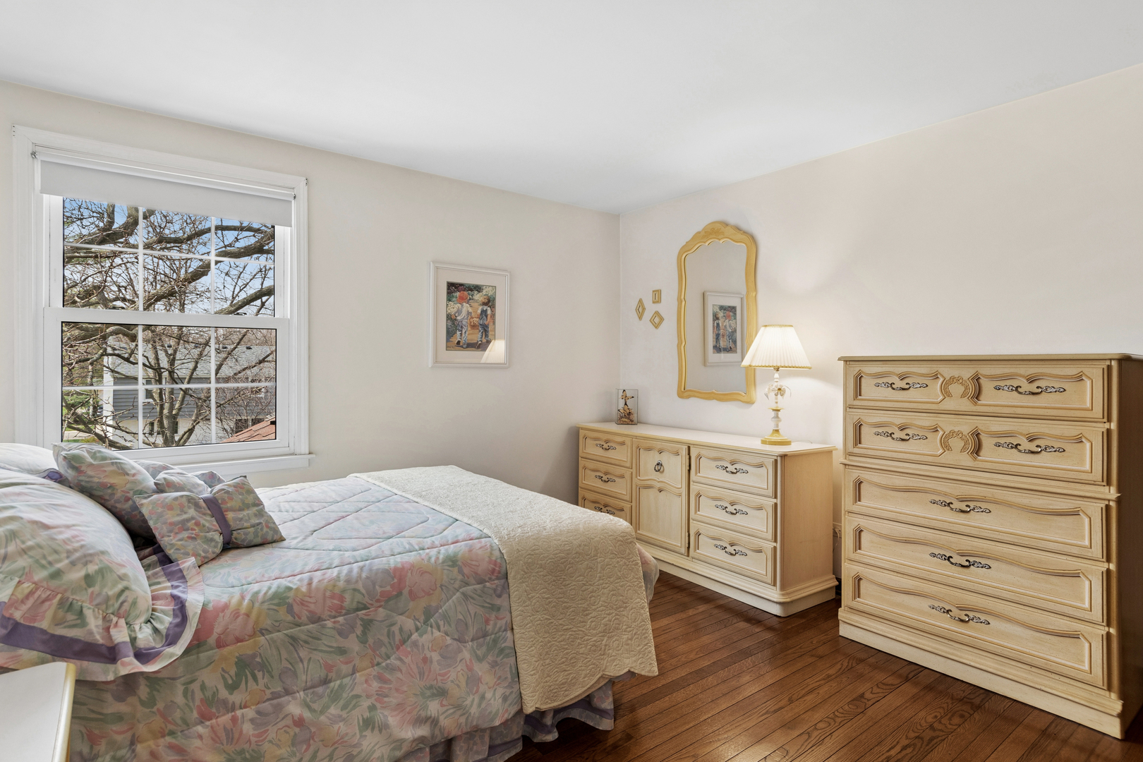 1549 Chippewa Drive, Naperville, IL 60563