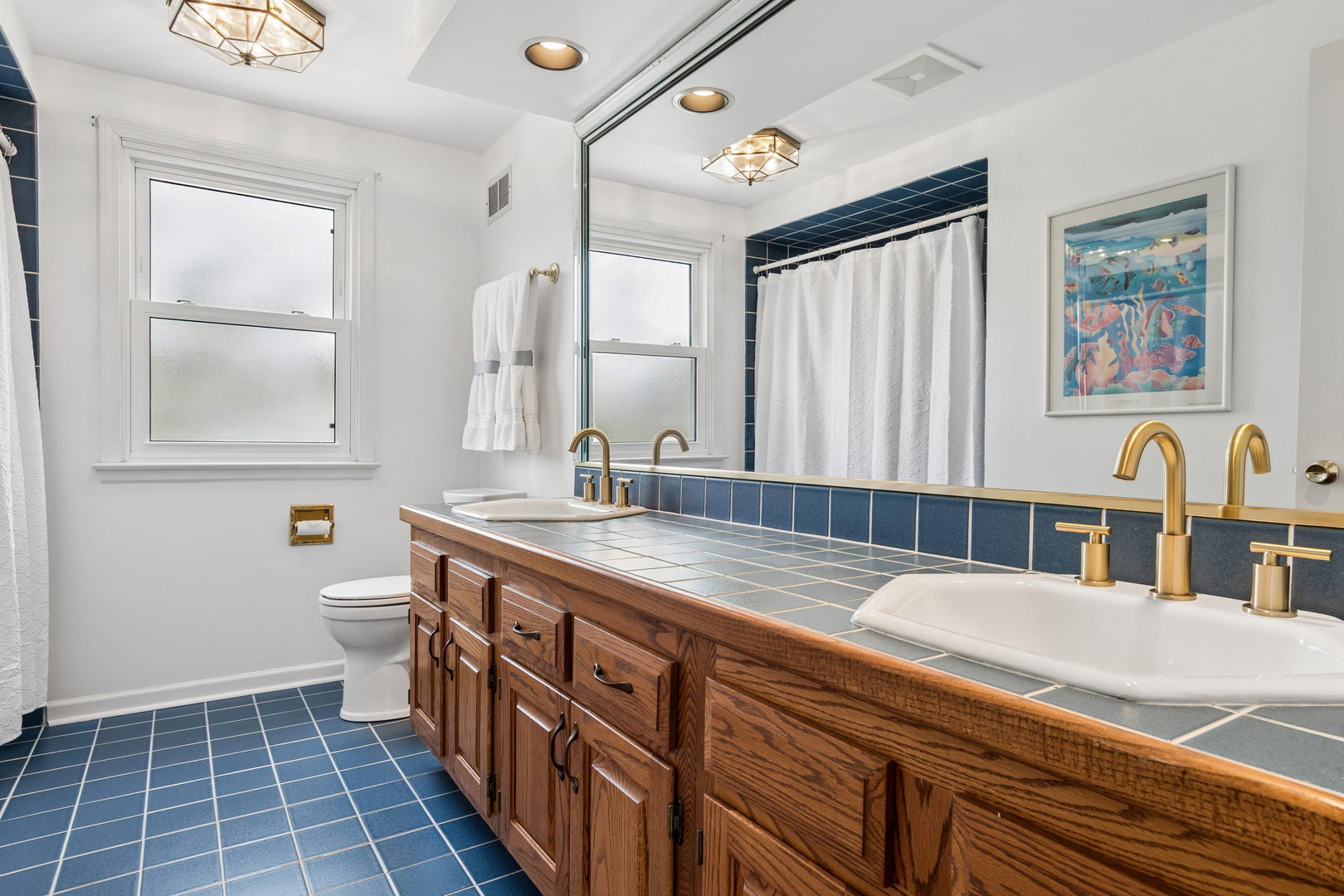 1549 Chippewa Drive, Naperville, IL 60563