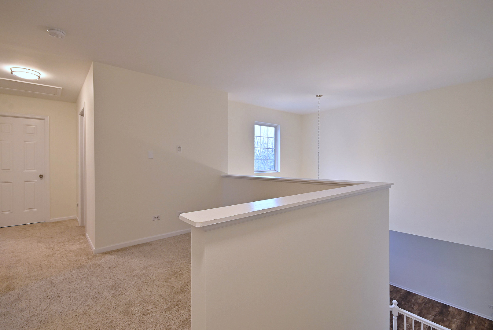 3443 Old Renwick Trail, Joliet, IL 60435