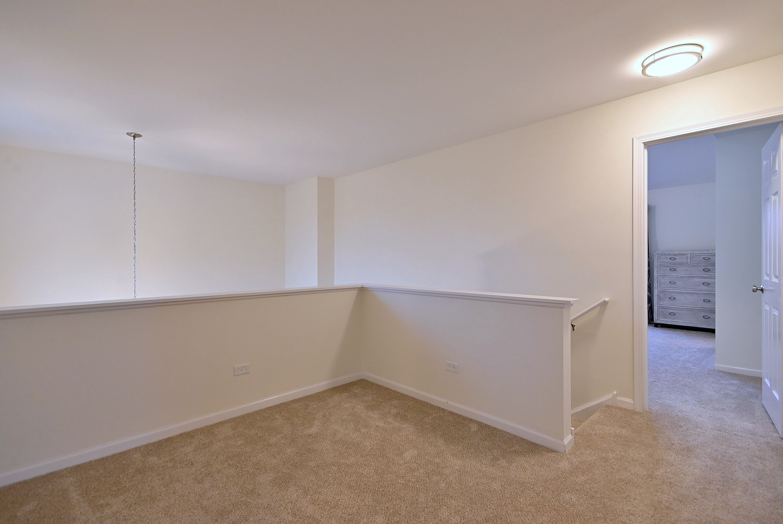 3443 Old Renwick Trail, Joliet, IL 60435