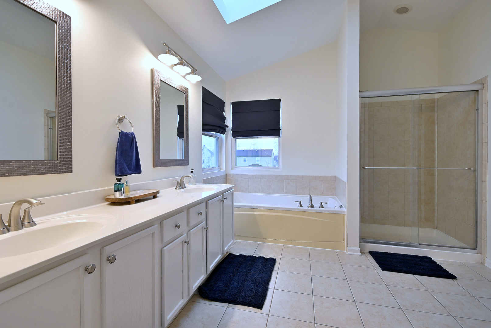 3443 Old Renwick Trail, Joliet, IL 60435