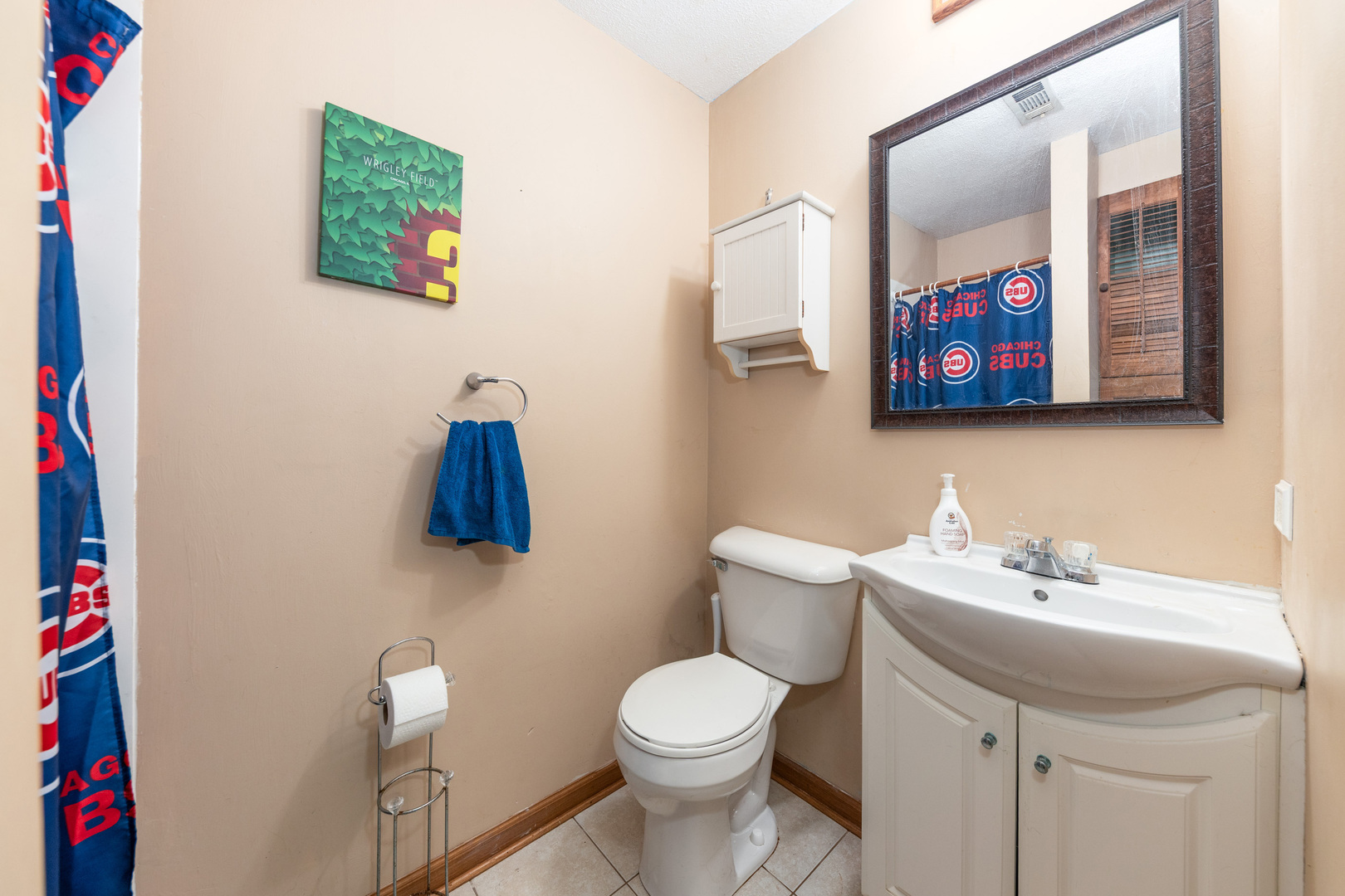 128 S BIRCHWOOD Drive, Naperville, IL 60540