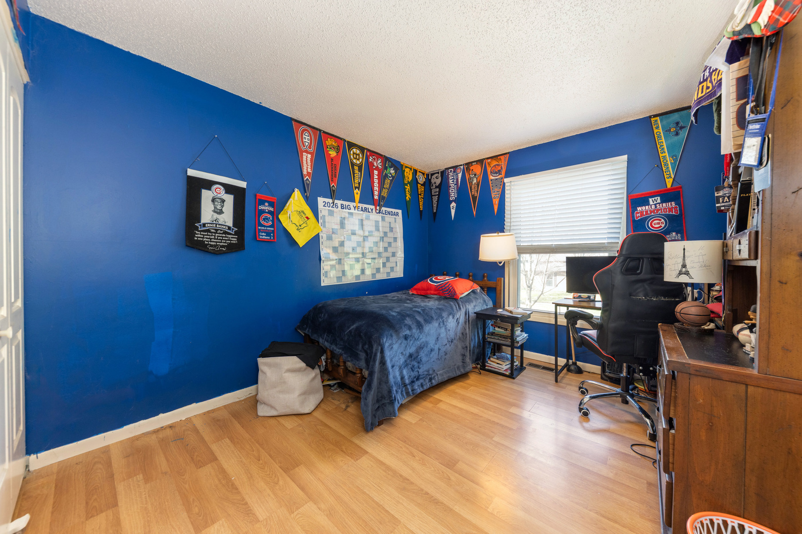 128 S BIRCHWOOD Drive, Naperville, IL 60540