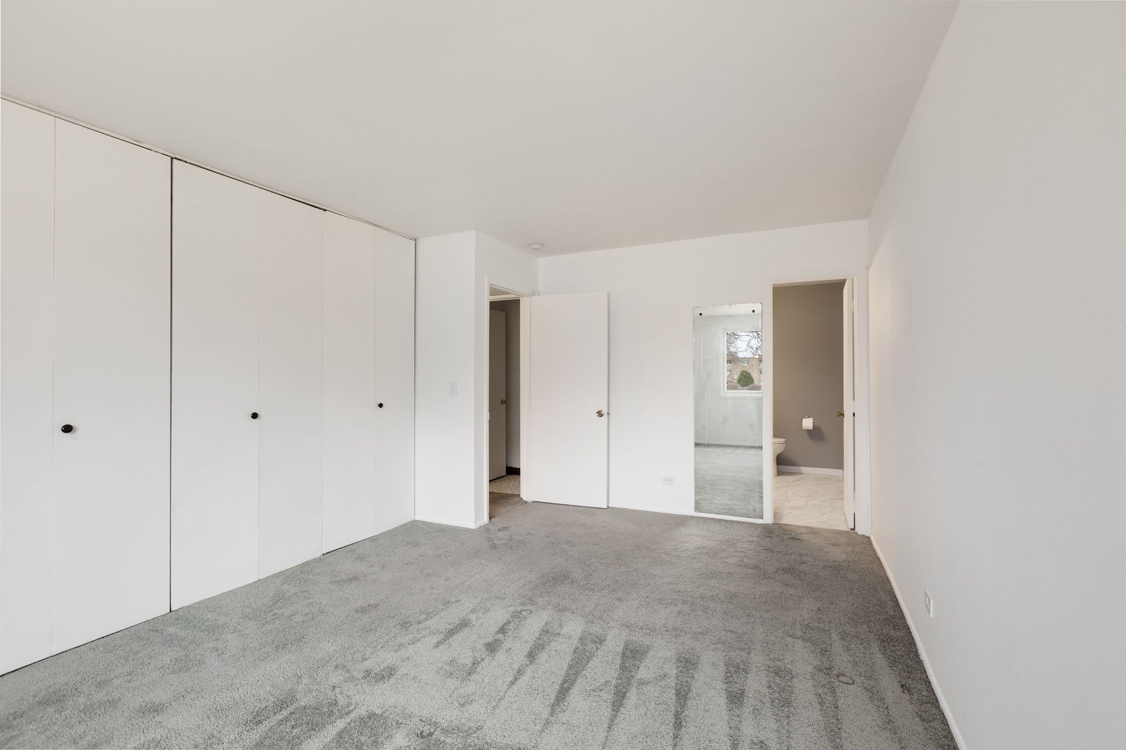 2650 Brookwood Way Drive #203, Rolling Meadows, IL 60008