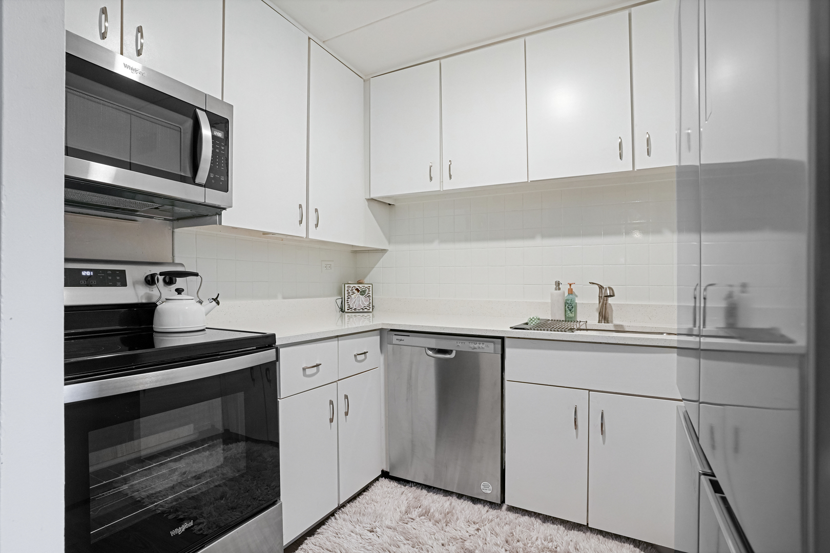 16 E Old Willow Road #223S, Prospect Heights, IL 60070